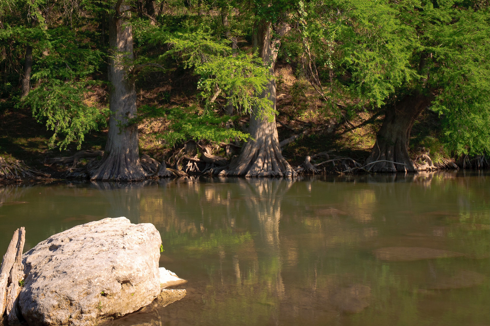Guadelupe State Park