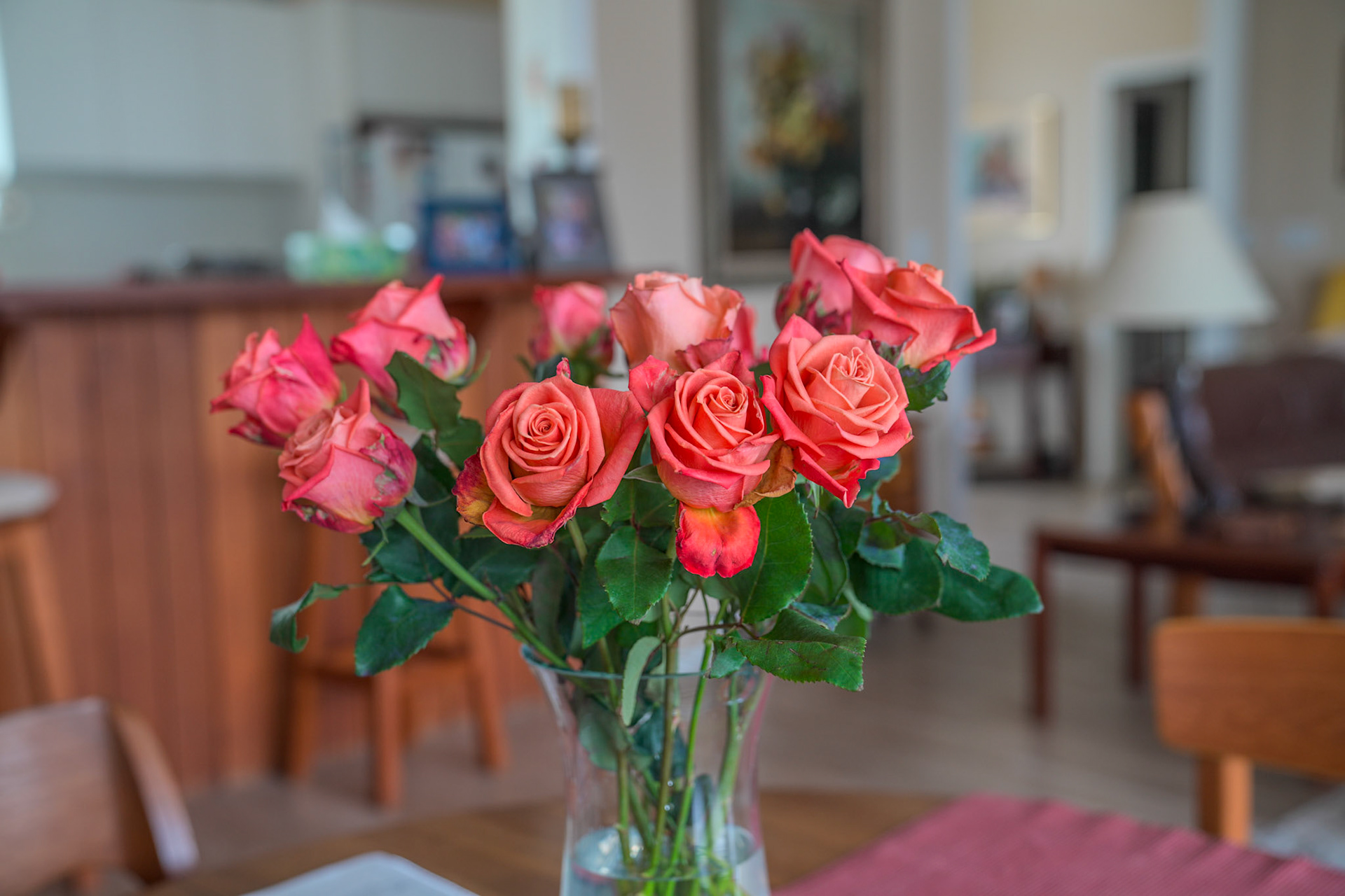 Roses In Marita’s Living Room