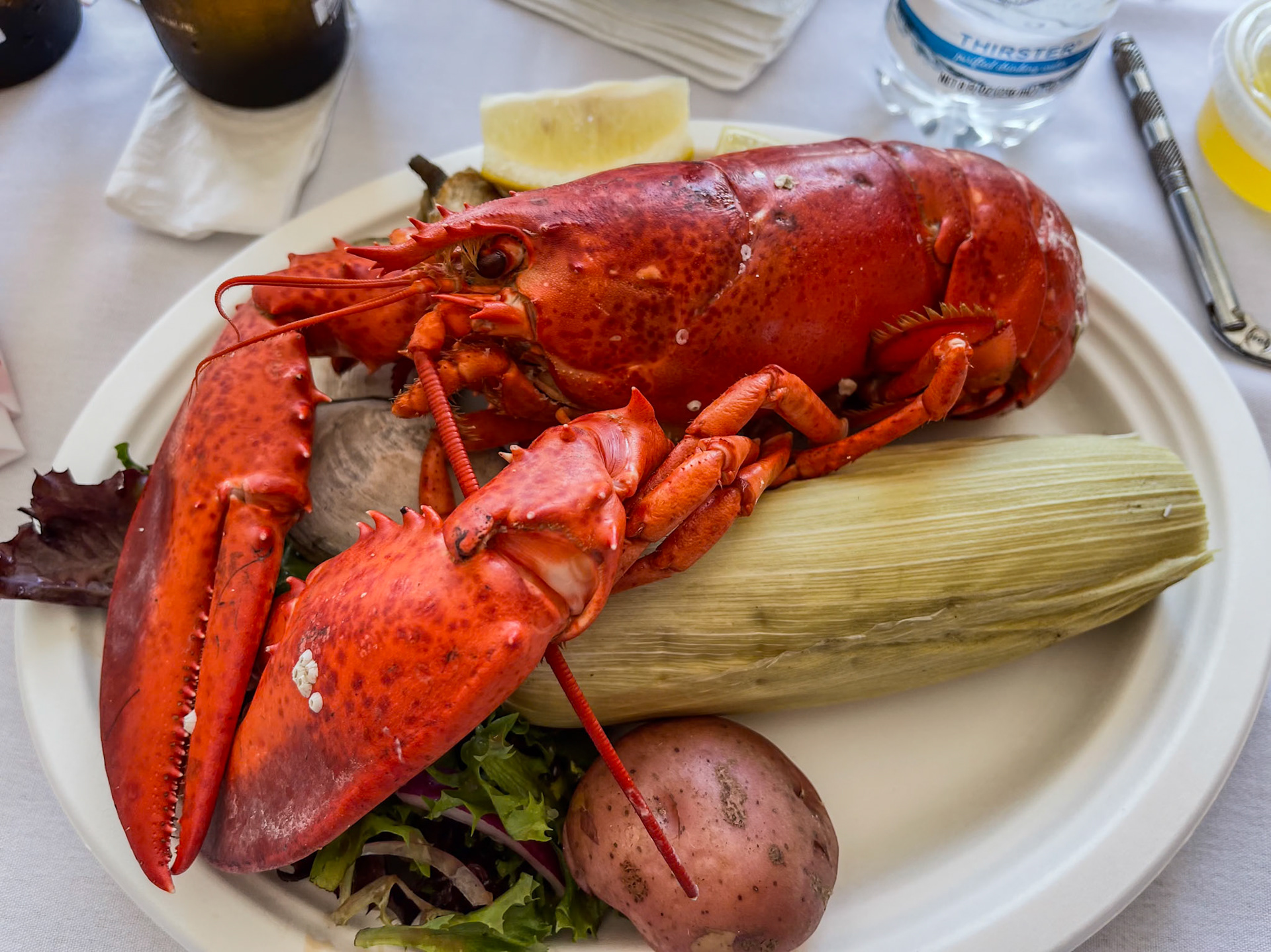 Lobster Bake at Ft. Adams with the passengers from the American Star