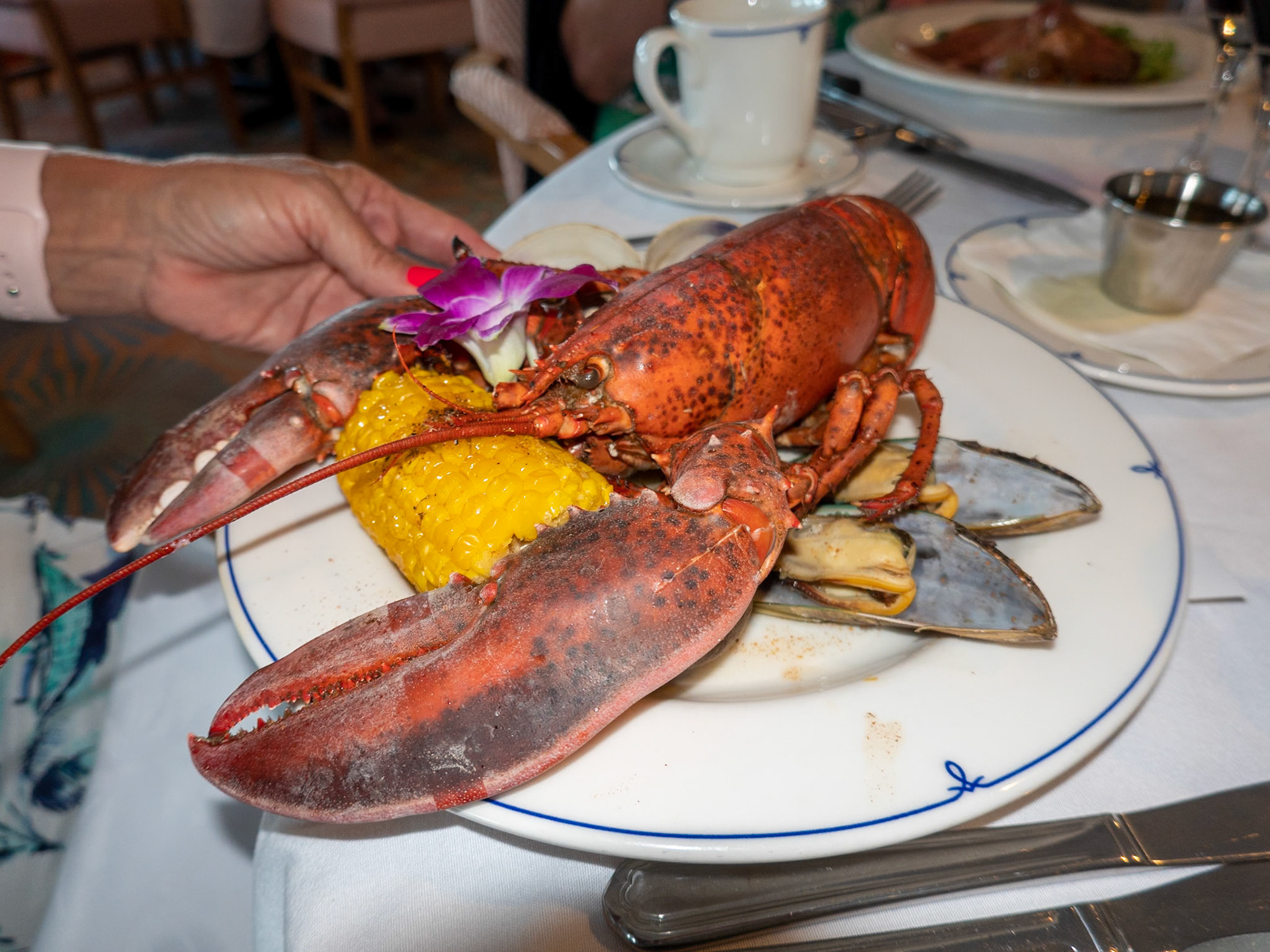 Lobster Night on the ship