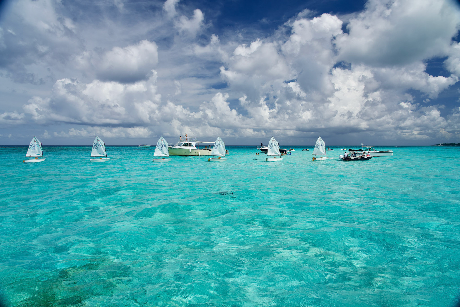 Grand Cayman Stingray City