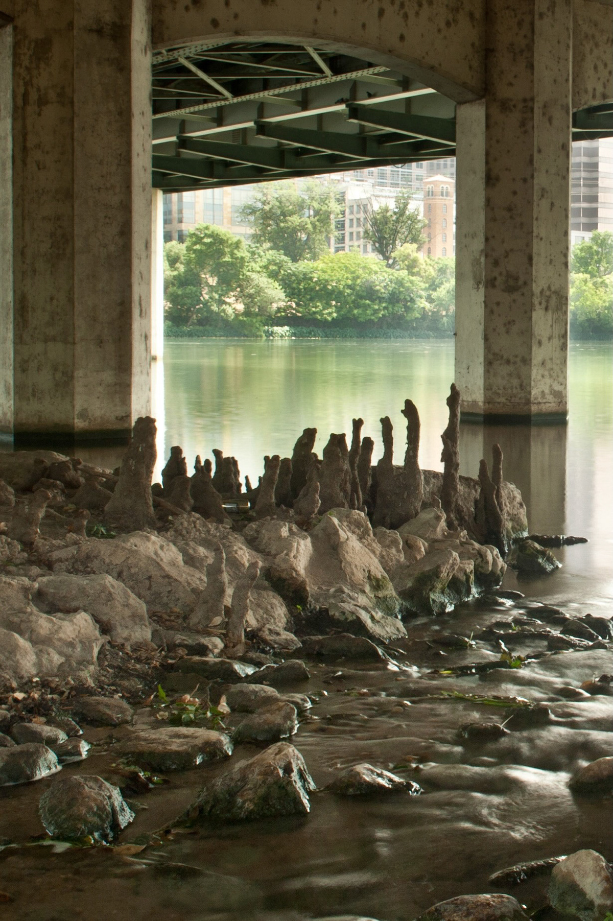 What looks like a gathering of strange creatures under a bridge are actually worn down tree stumps