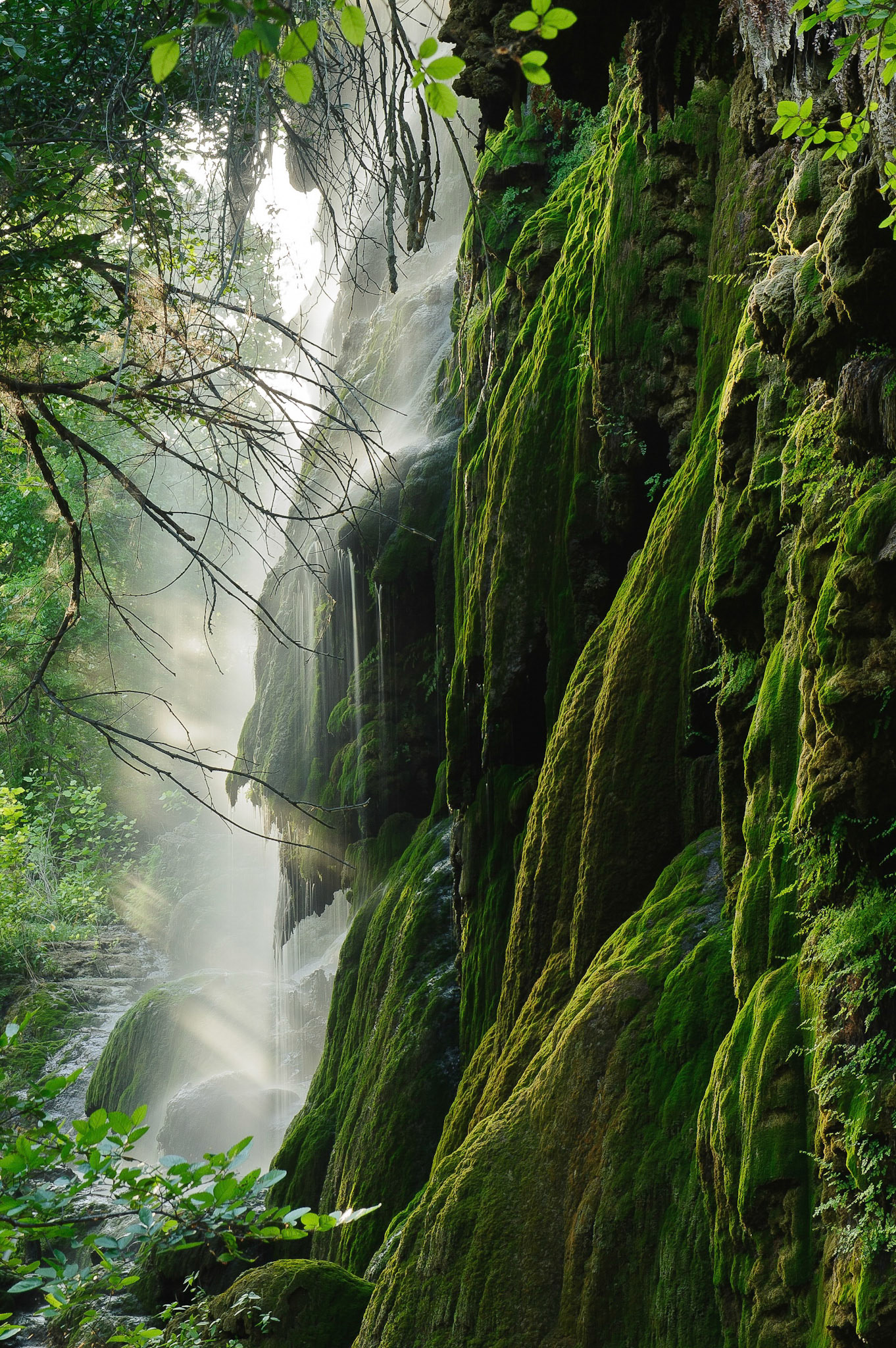 In the middle of the central Texas desert landscape this oasis exists. The Cherokee Indians considered it sacred ground.