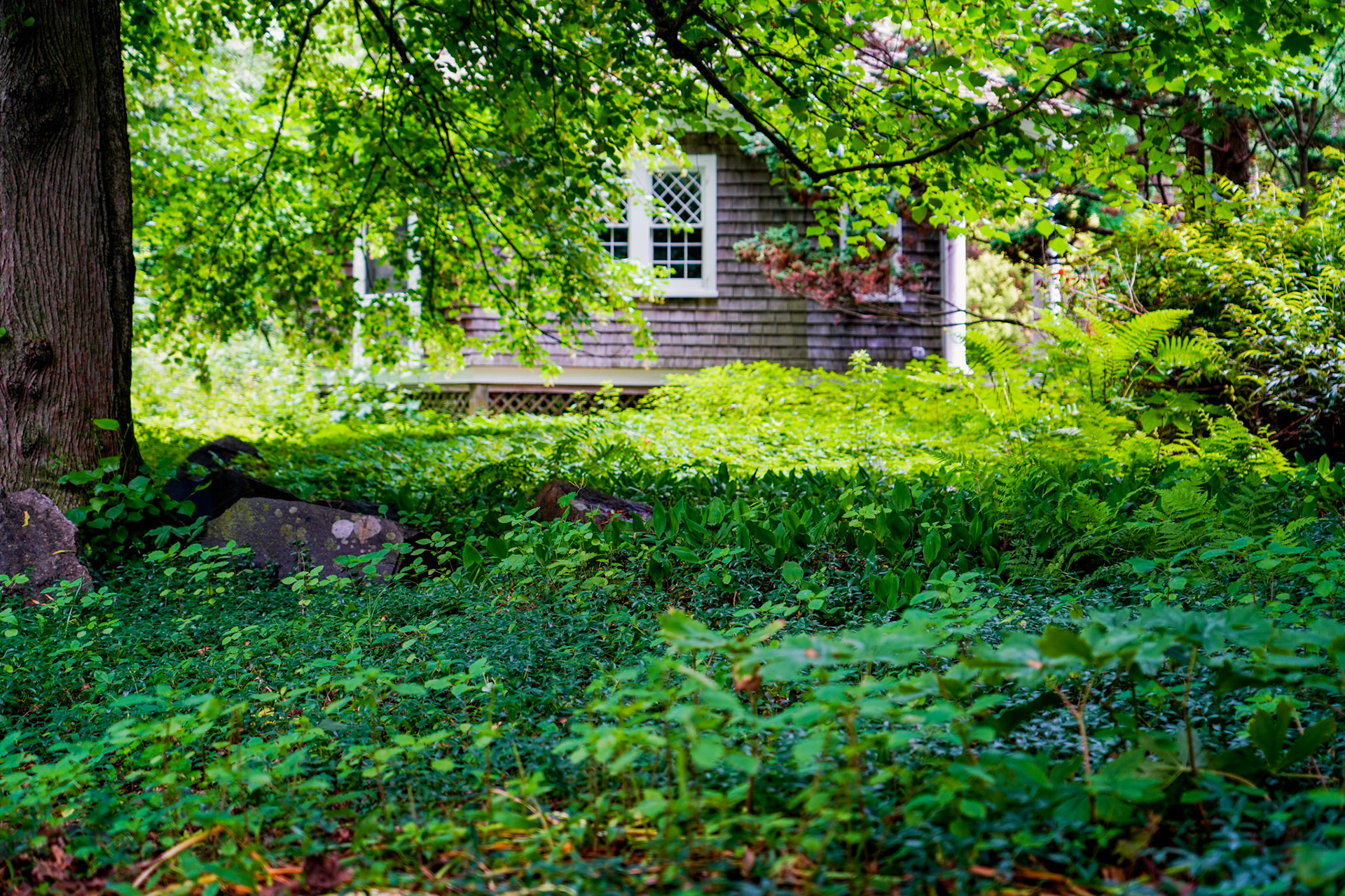 Garden of the Blithewold Mansion, Bristol RI
