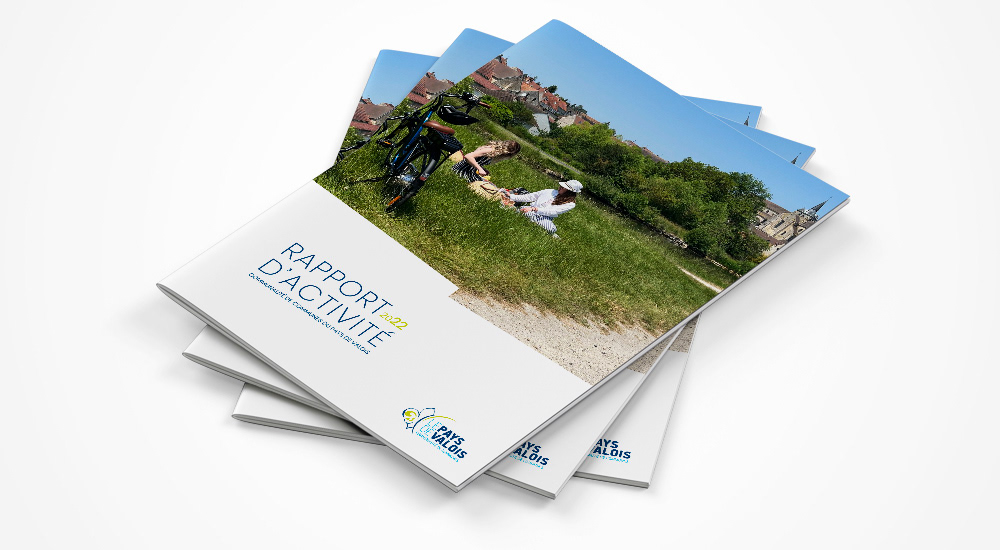 Rapport d'activité 2022