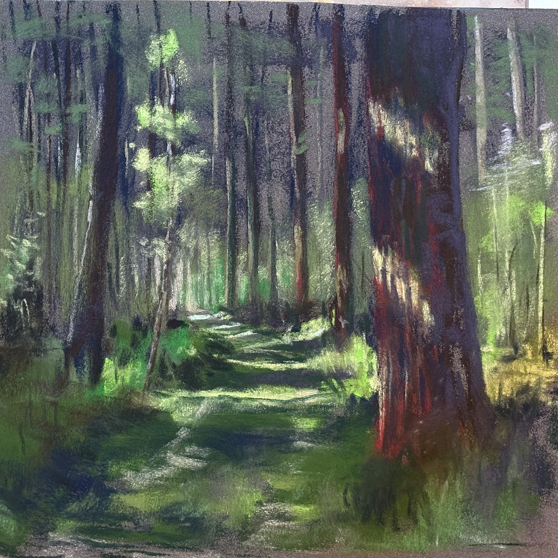 Bospad, Oude Kamp Soesterberg