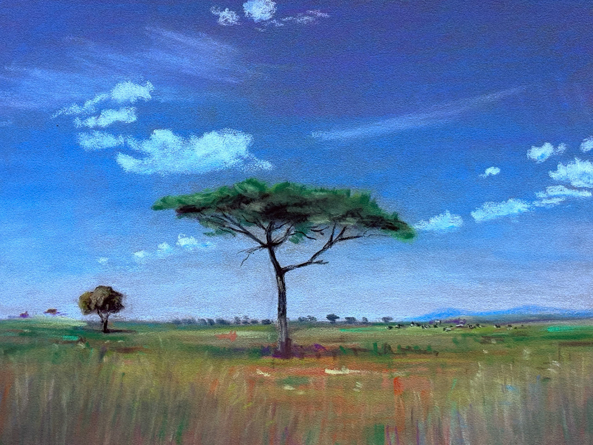 Tanzania