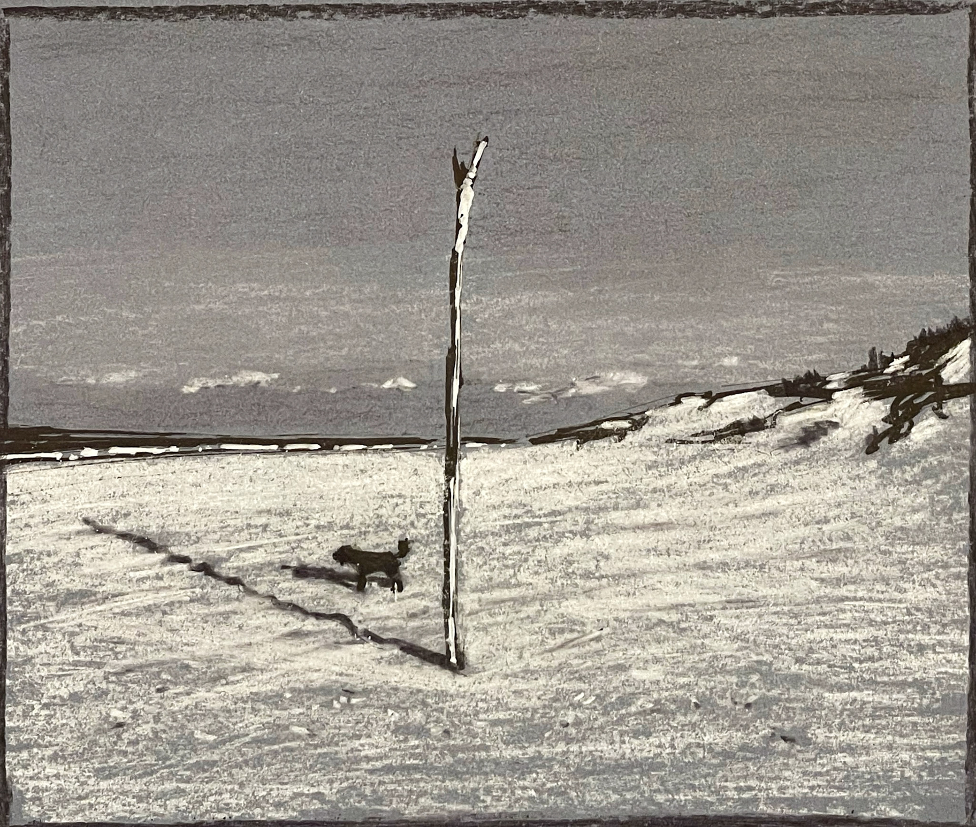 Strand bij Wassenaar