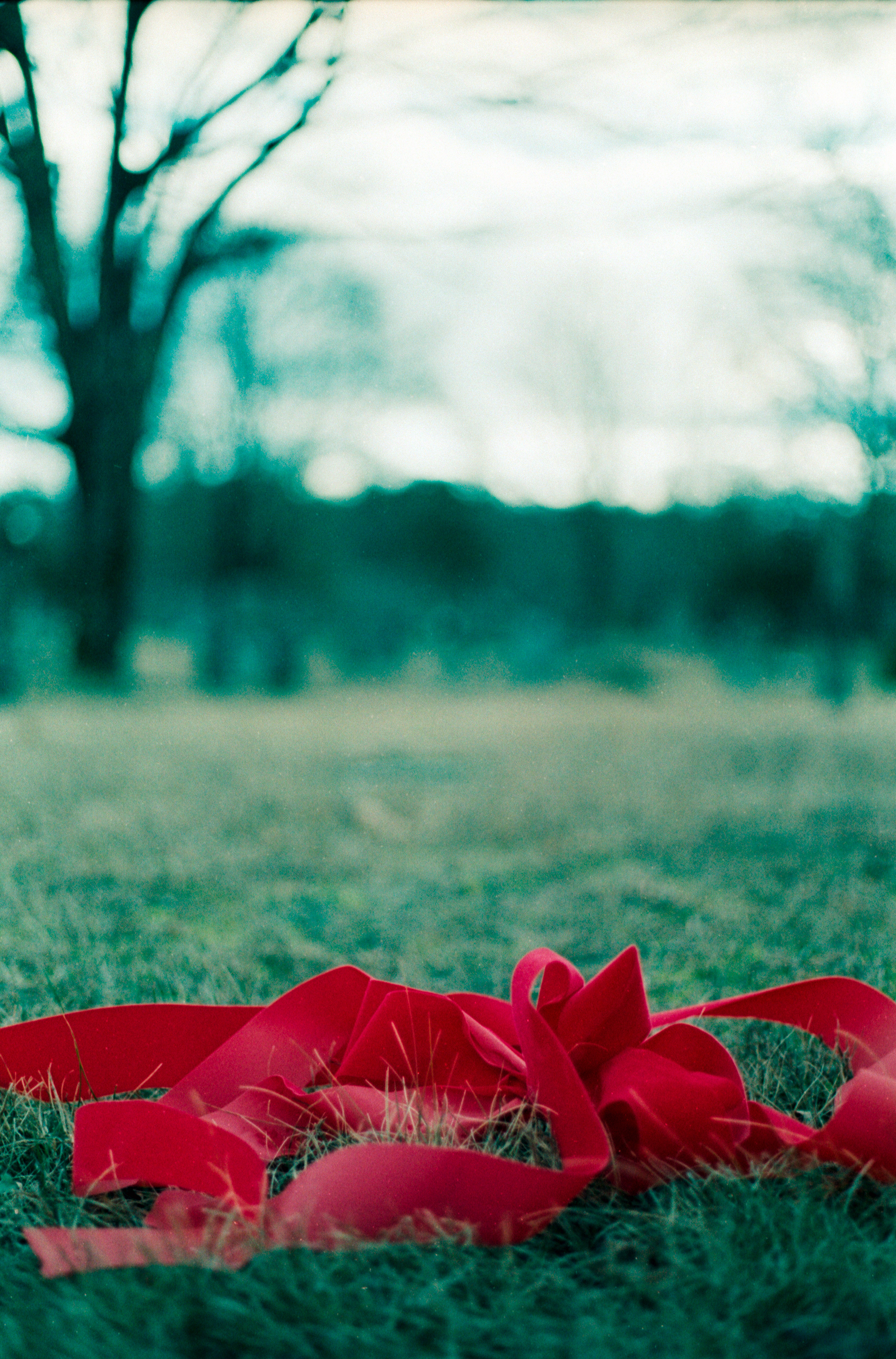 Cemetery Ribbon, Pro-Image, Canon AE-1, 2020