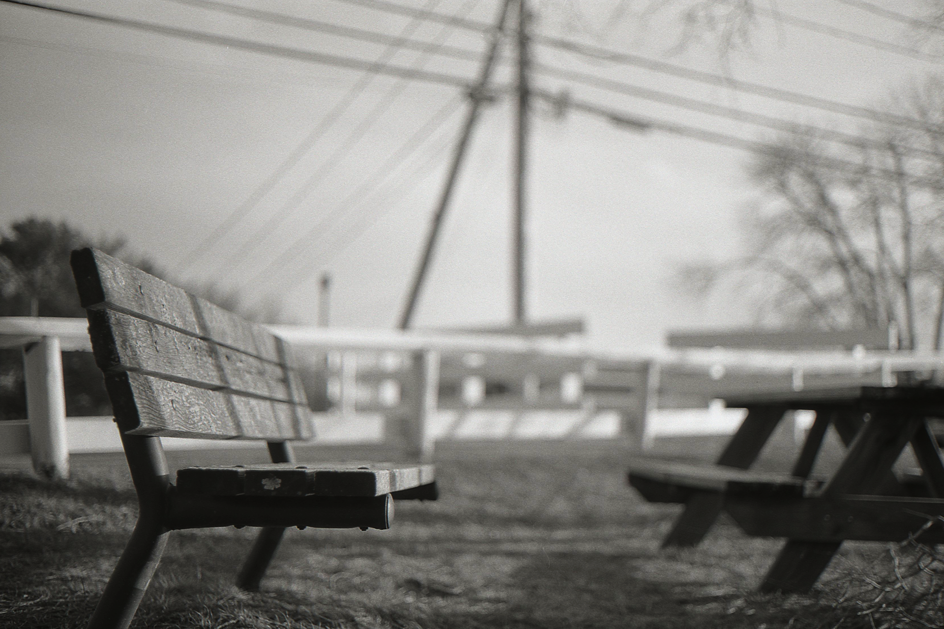 Tremont Nail, T-Max 100, Canon AE-1, 2020