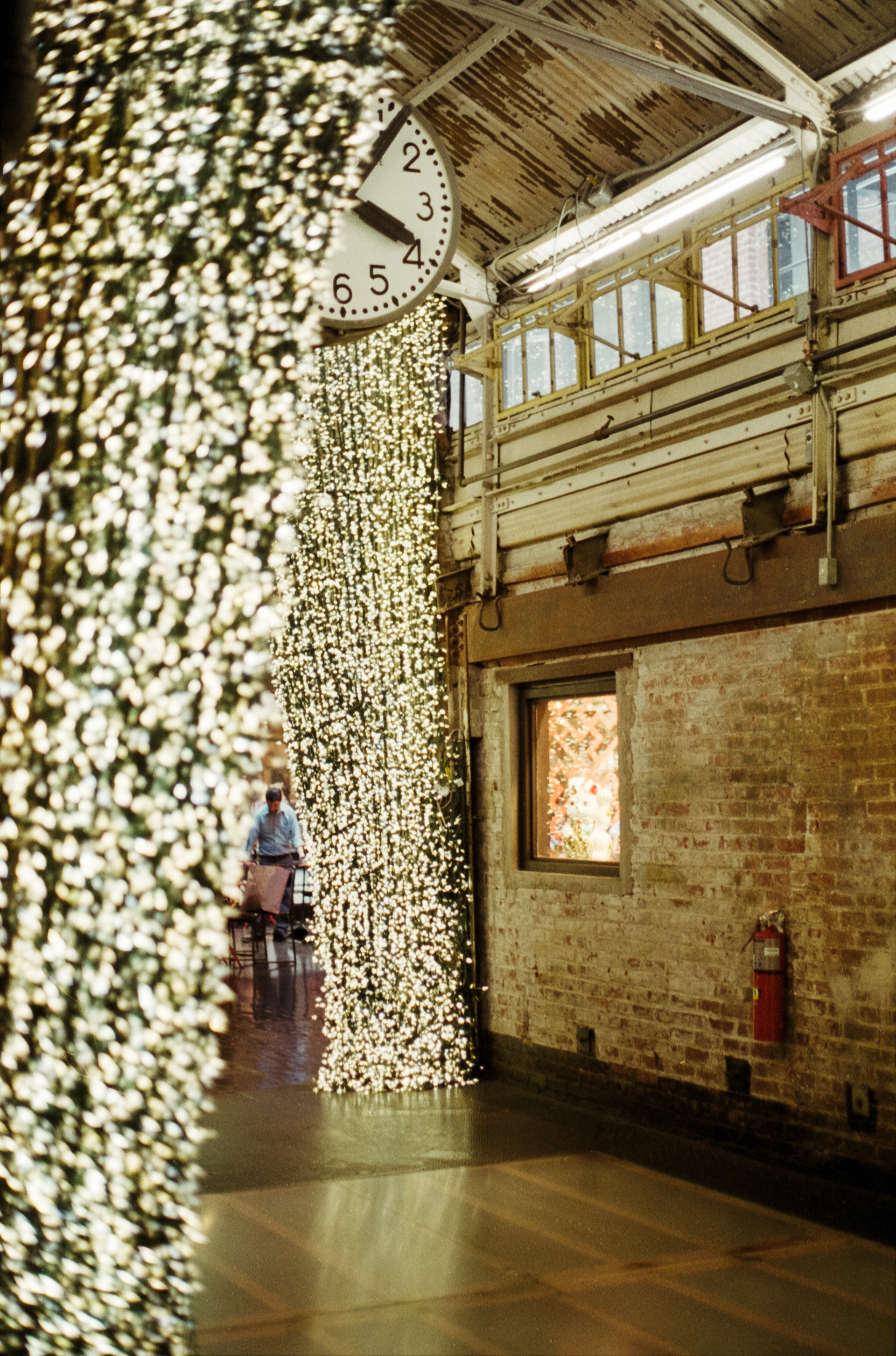NYC Chelsea Market, Pro-Image, Canon AE-1, 2020