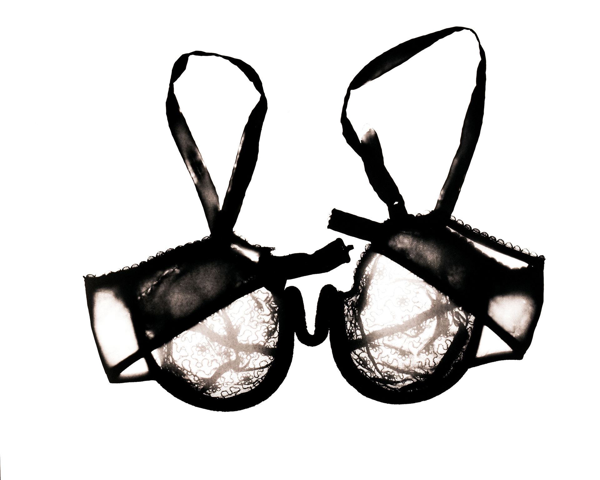 White Vintage English Rose bra