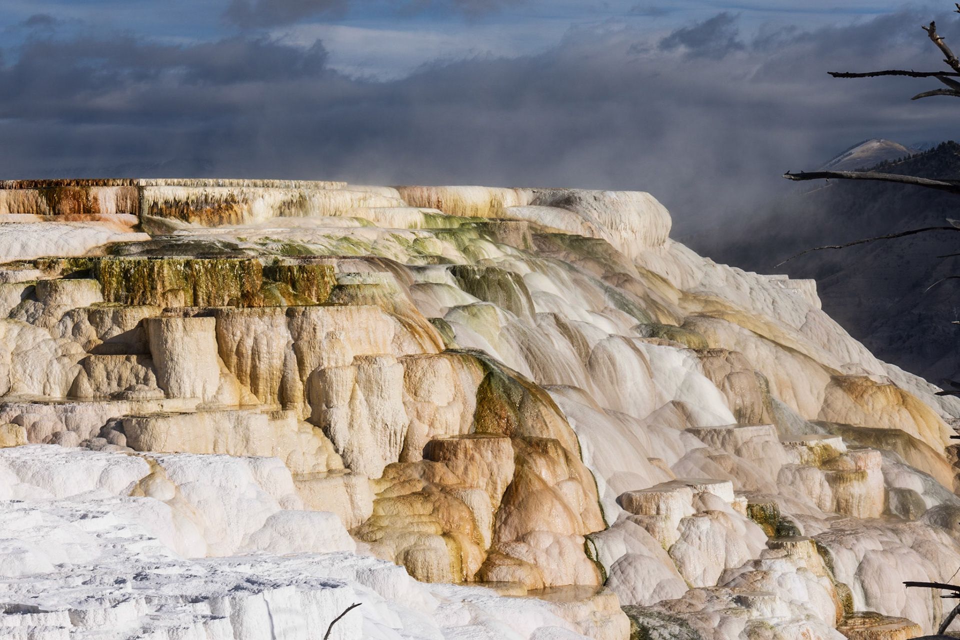 Mammoth Hot Springs, Yellowstone NP WY