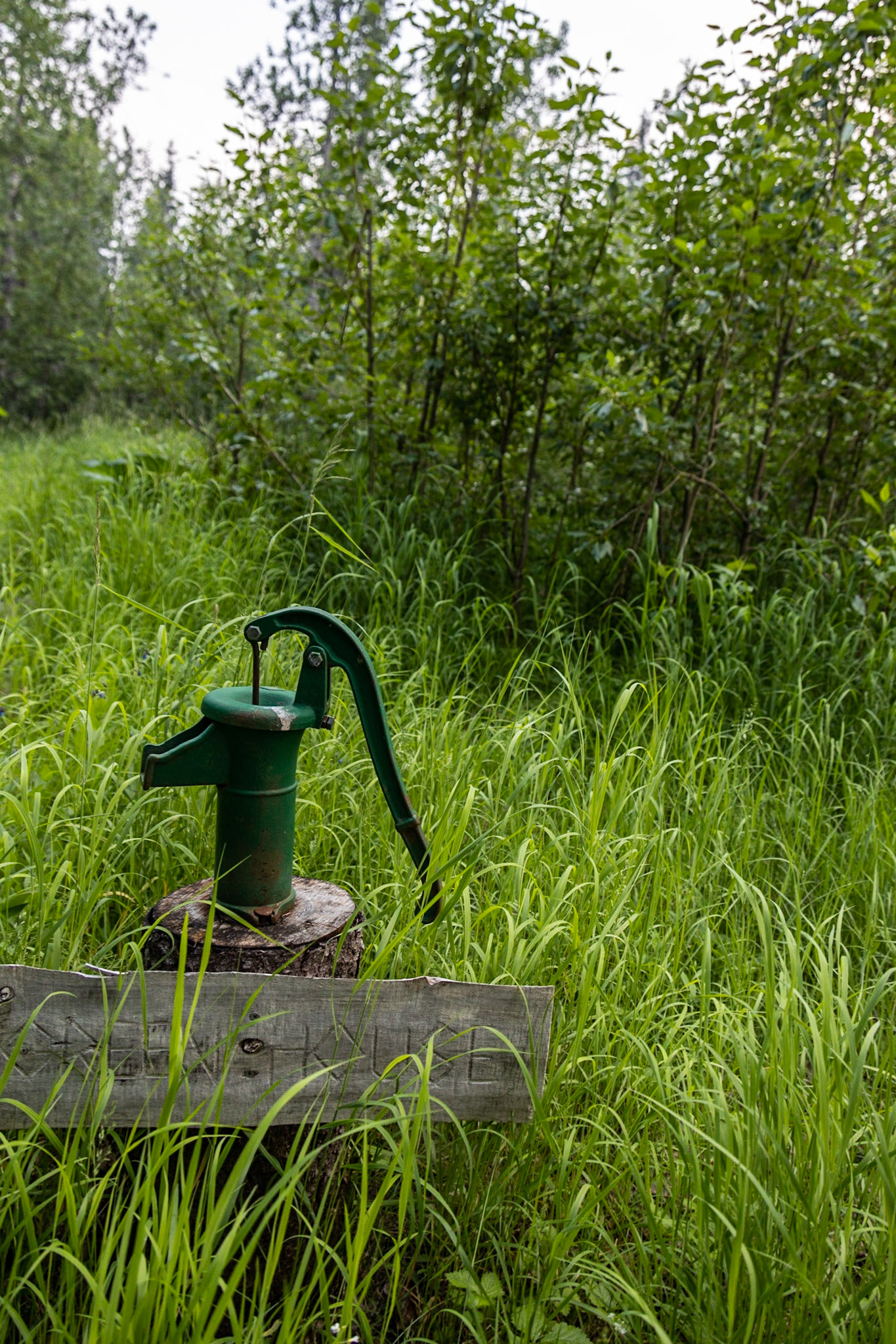 Marabou Camp Trip, AK