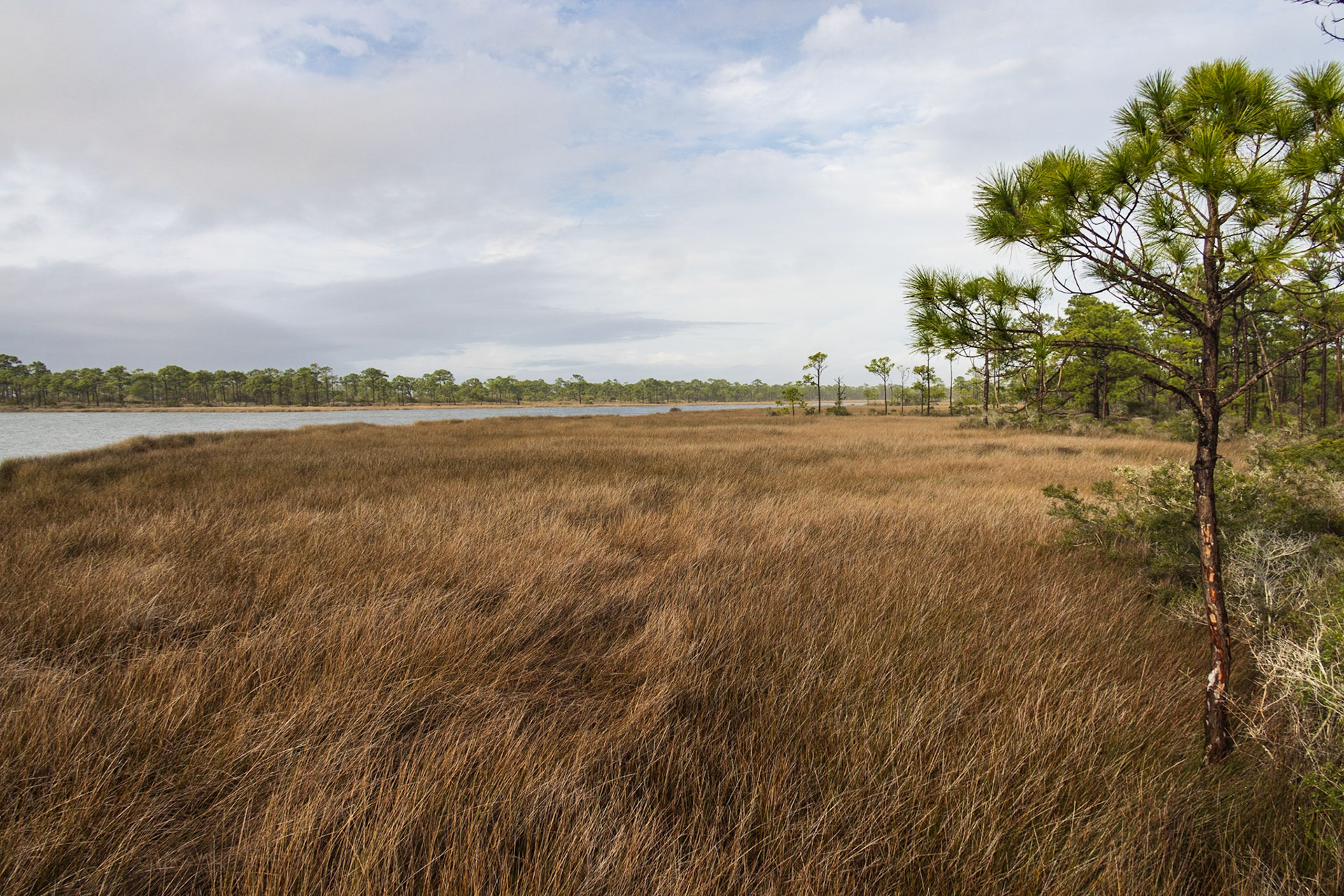 Saint George Island SP,FL