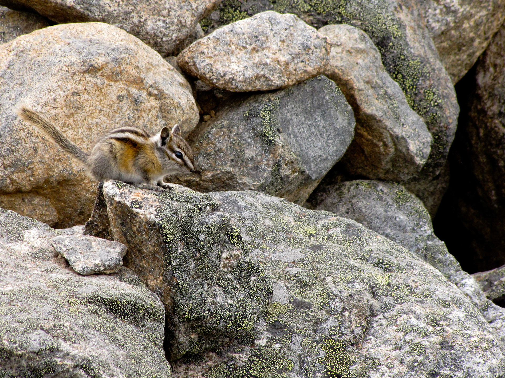 Rock Island Camp BC CA