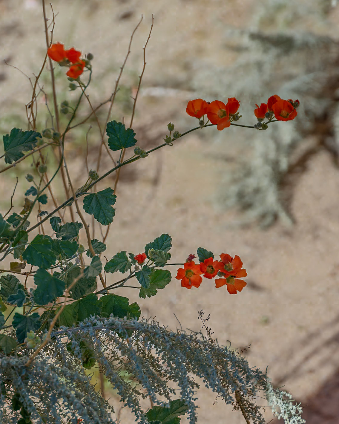 White House CG, Knab UT