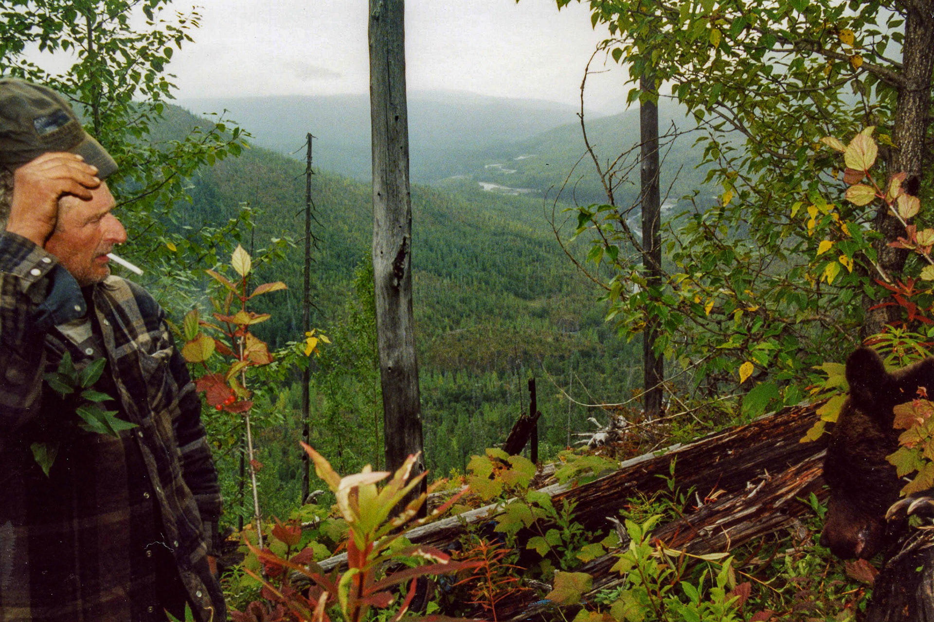 Bell-Irving River BC CA