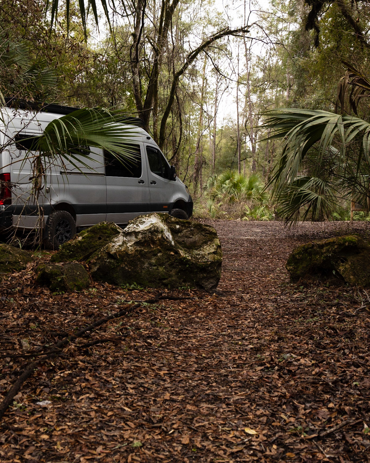 Aucilla River, Goose Pasture Road, FL