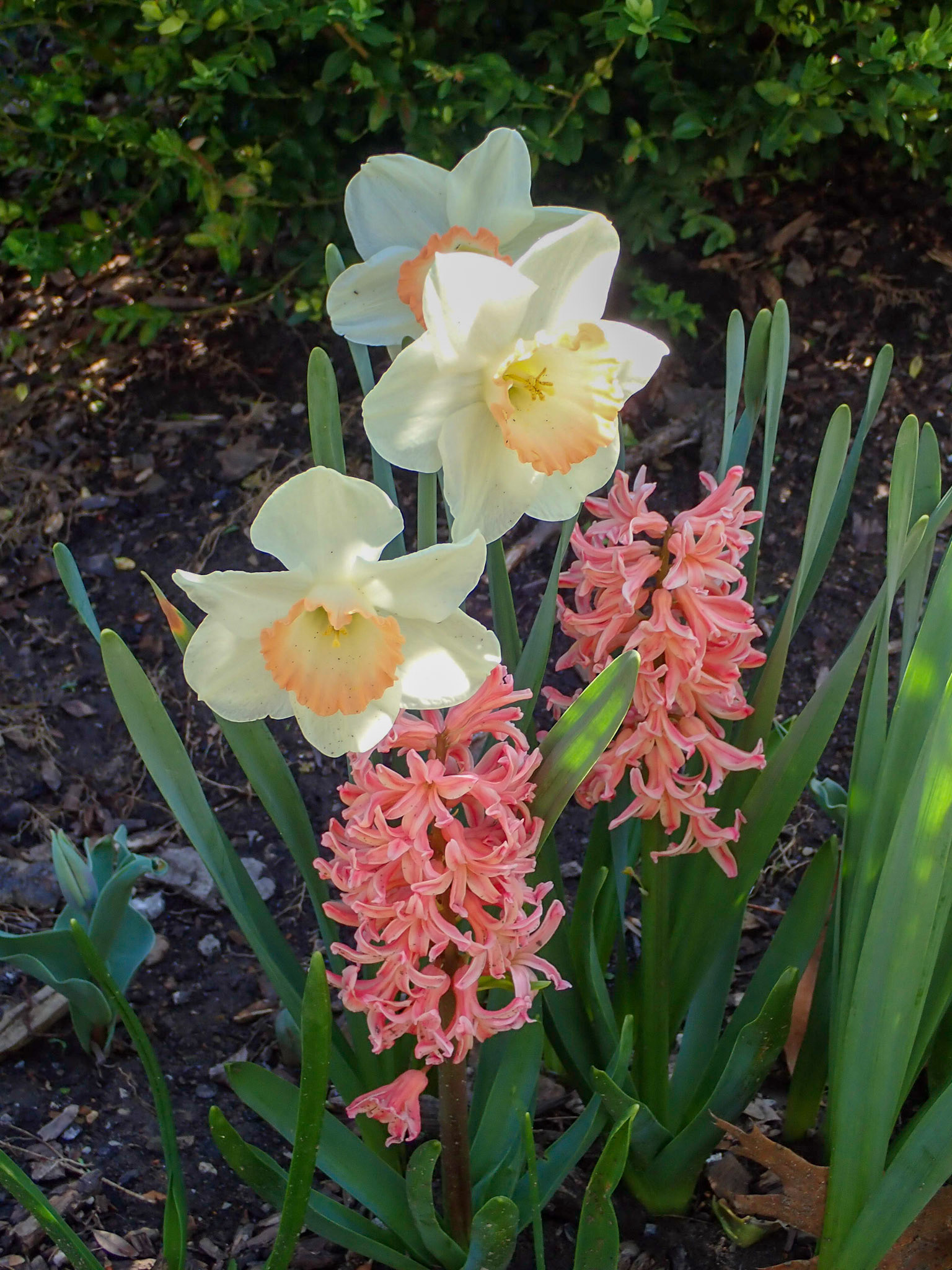 University Cirlcle, Cleveland OH