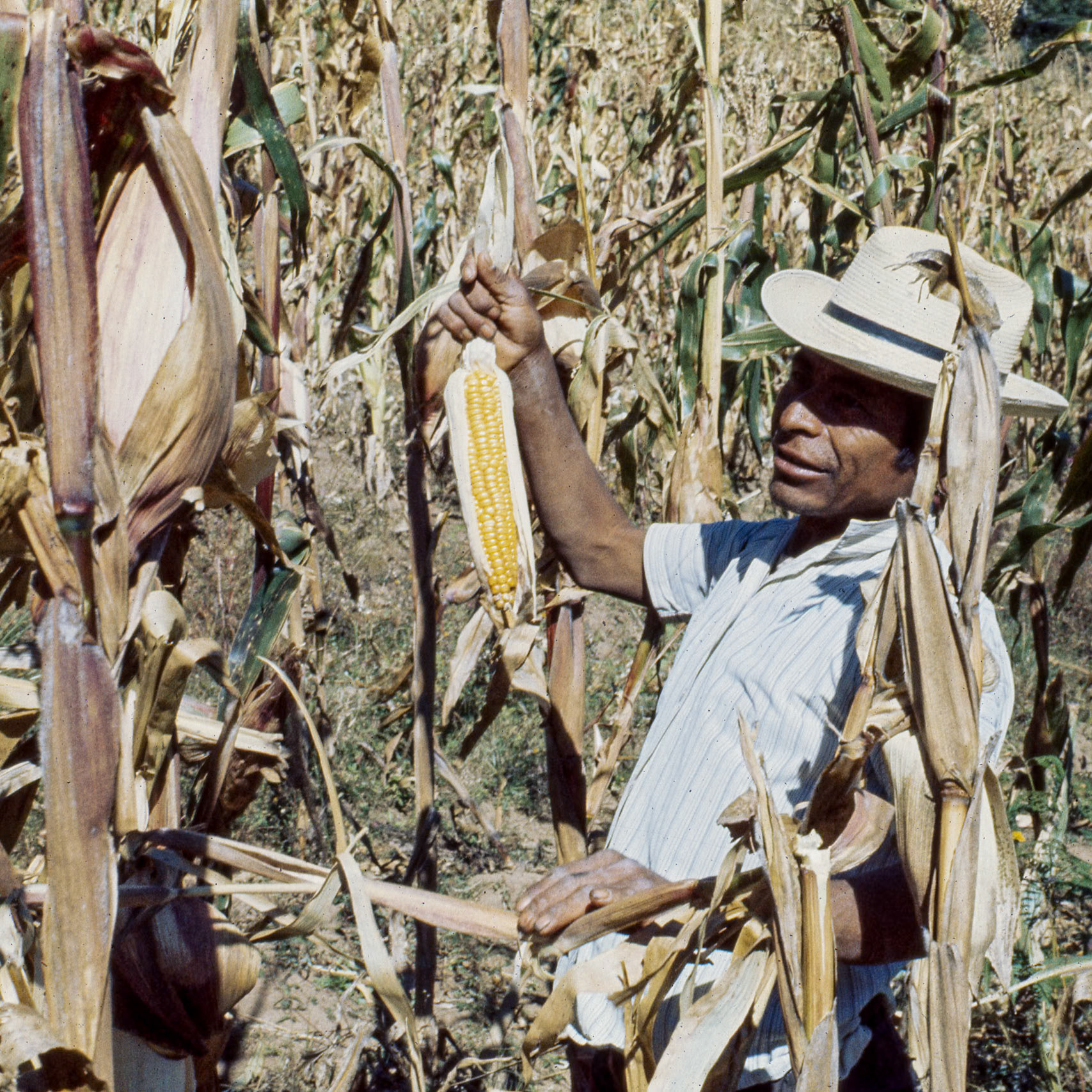 Cunen del Quiche, Gautemala