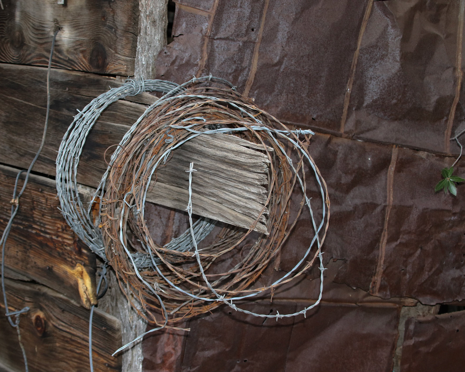 Hale Ranch, Harshaw AZ