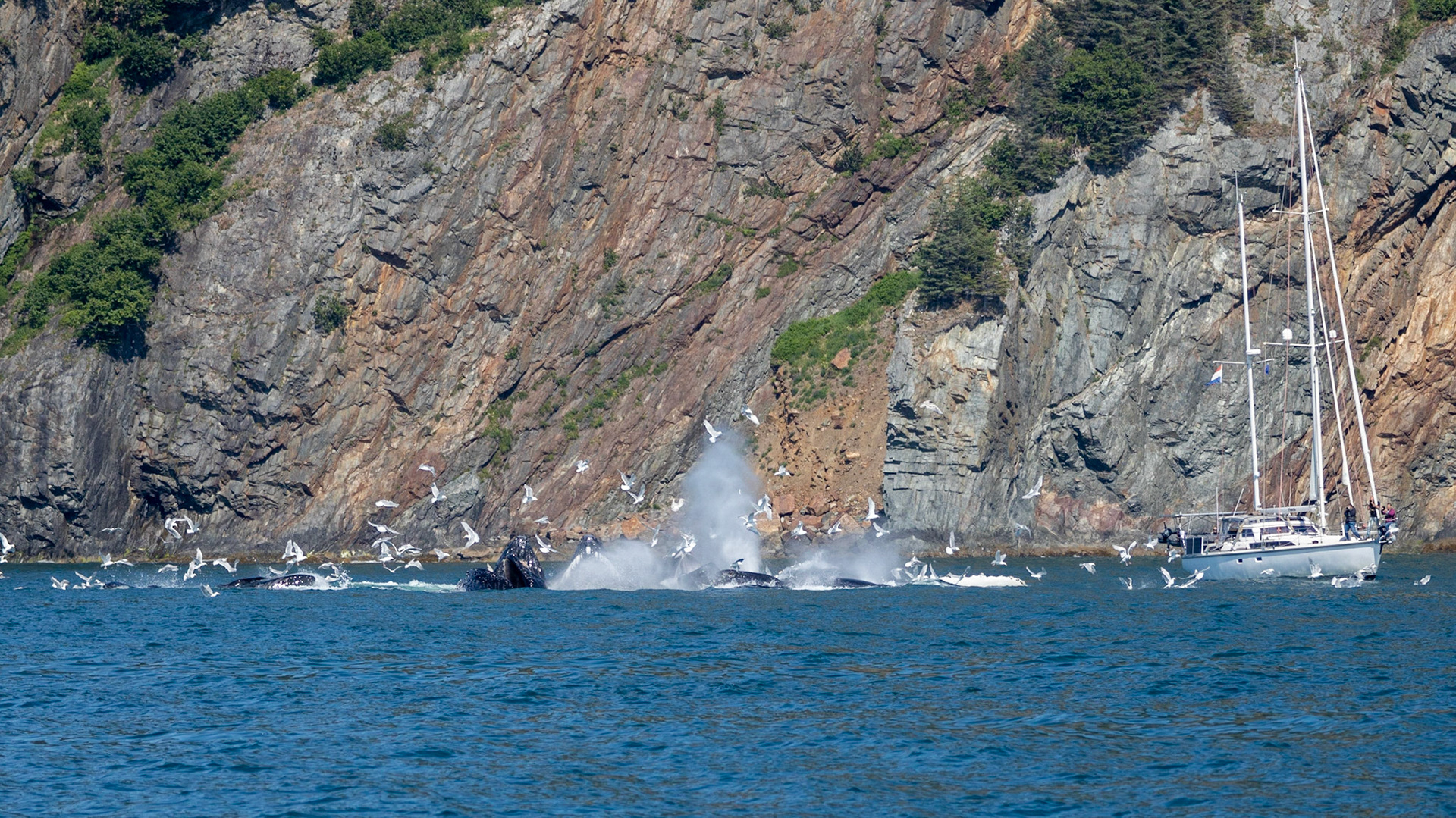 Resurrection Bay, AK