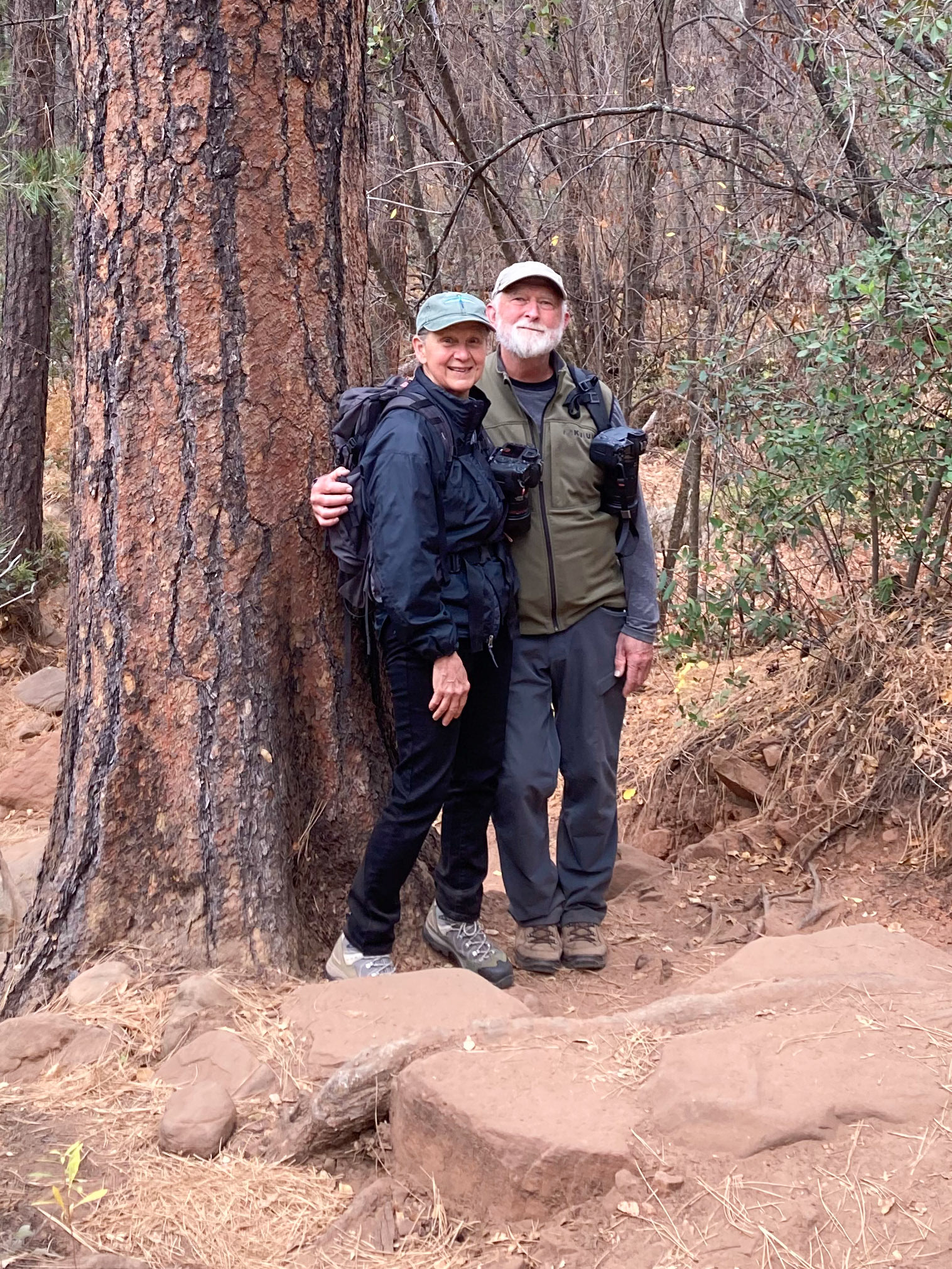Boynton Canyon Trail, Sedona AZ