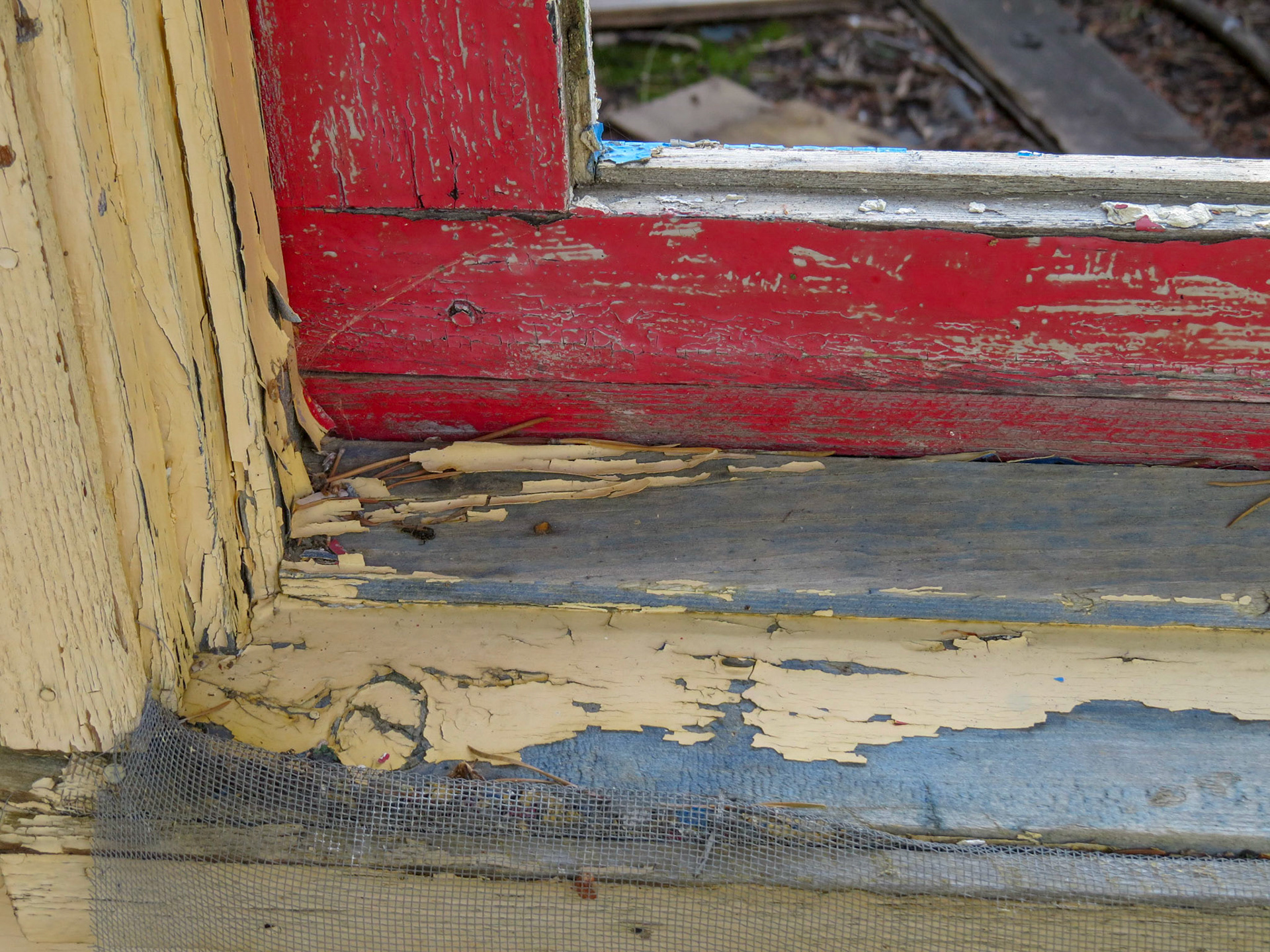 Mill Creek, Tobbacco Root Mts  MT