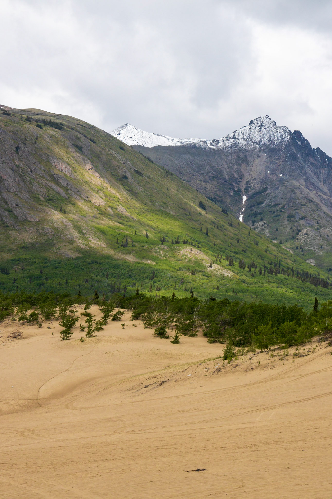 Carcross Desert, Yukon