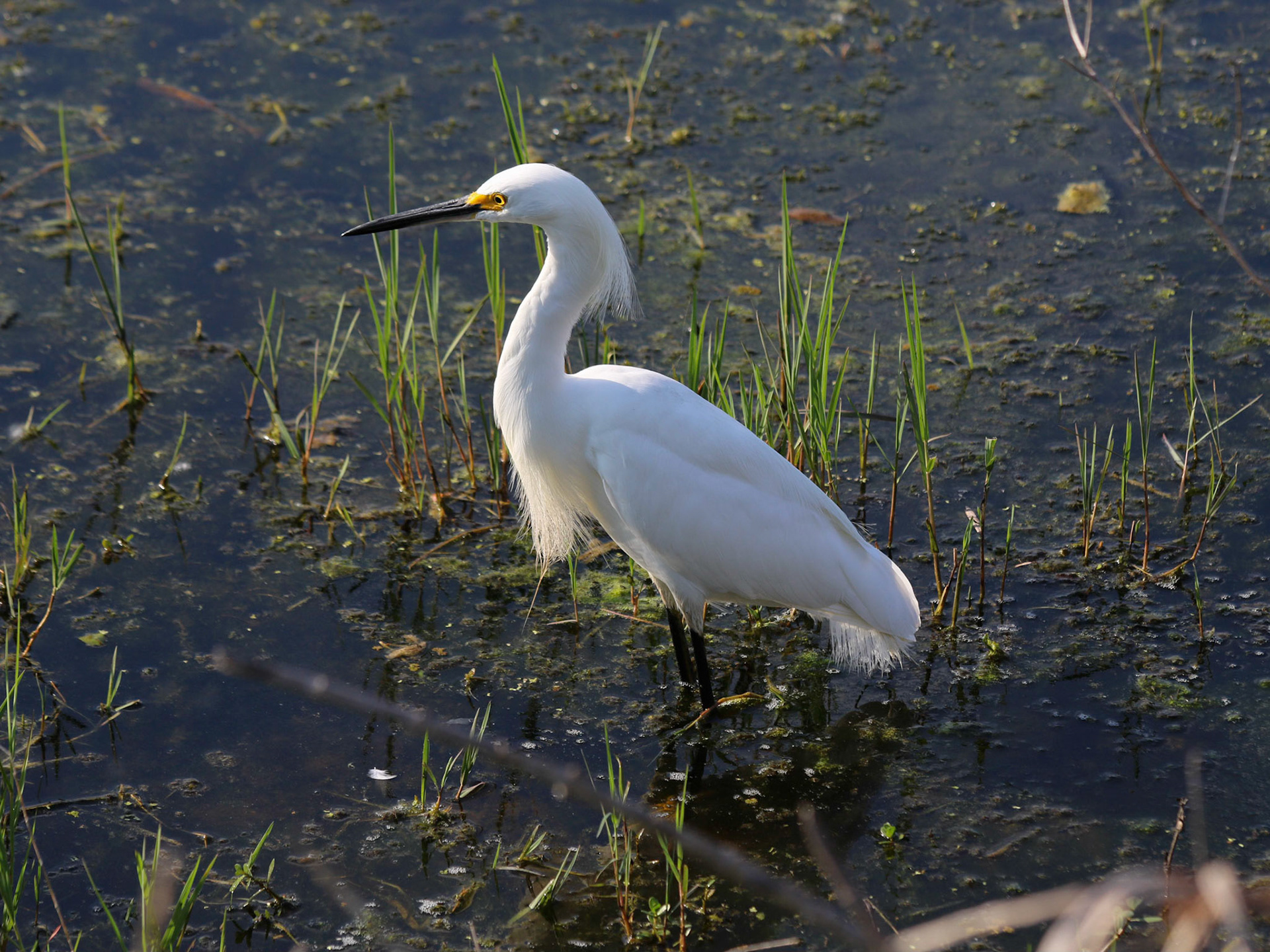 Circle B Bar Reserve, Lakeland FL
