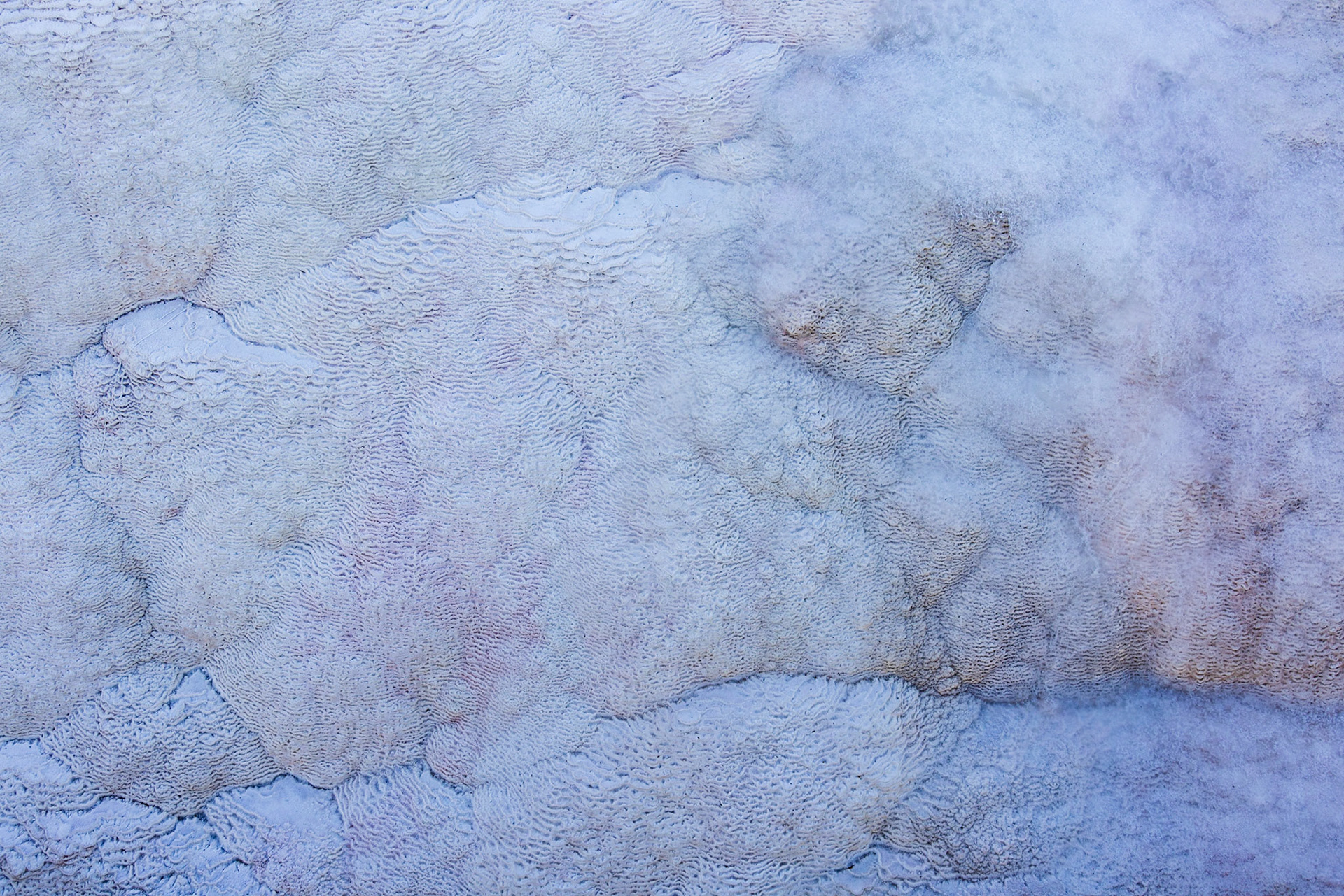 Mammoth Hot Springs, Yellowstone NP WY