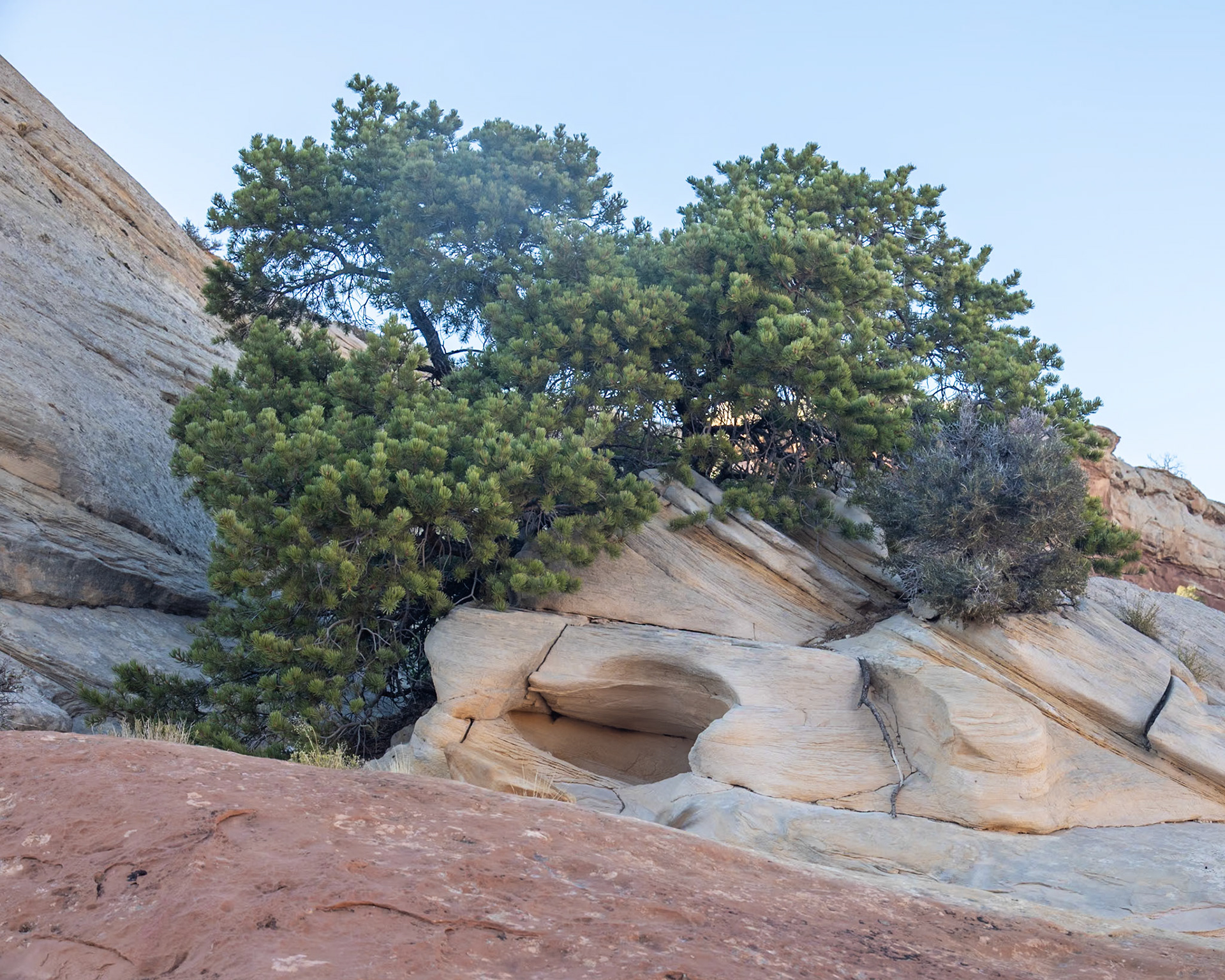 Cassidy Canyon, Fruita UT