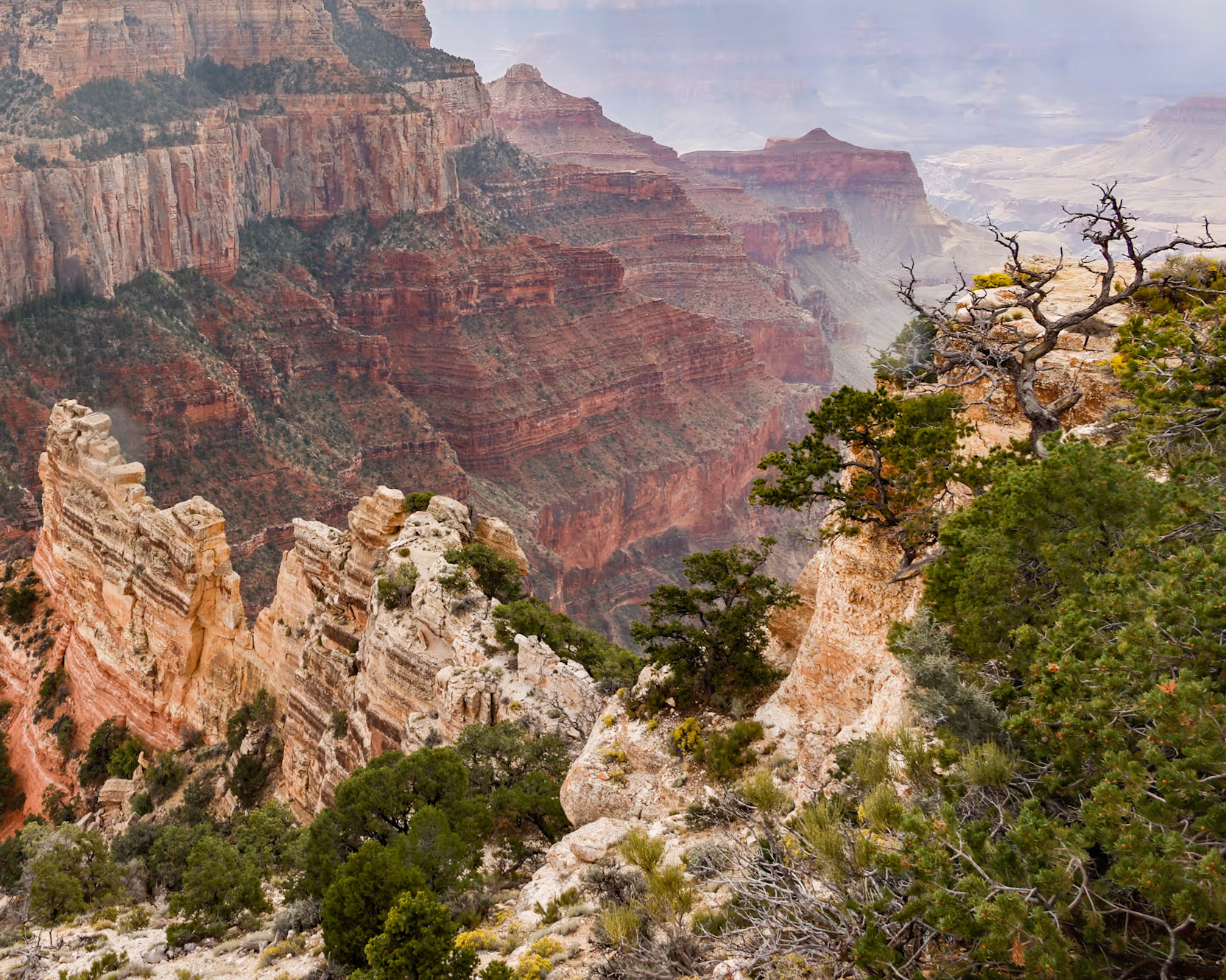 North Rim, Grand Canyon NP AZ