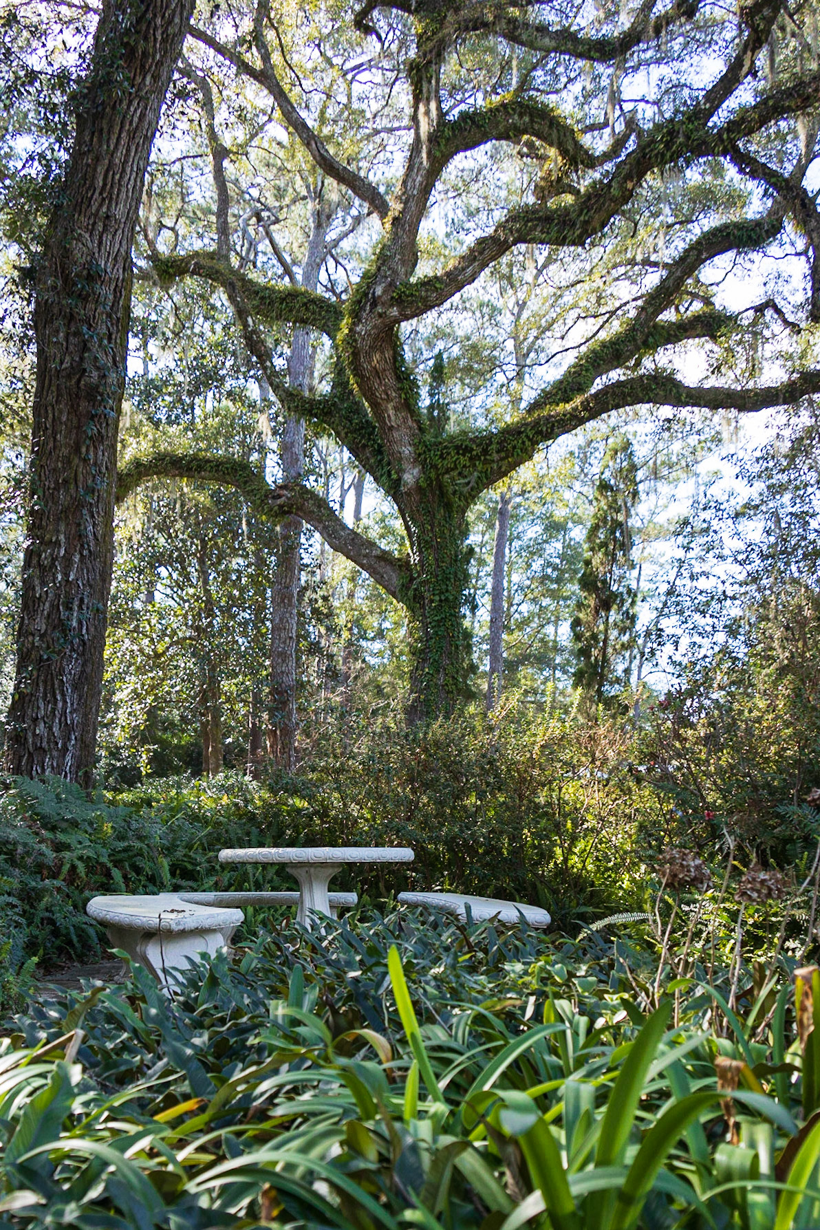 Eden Gardens State Park