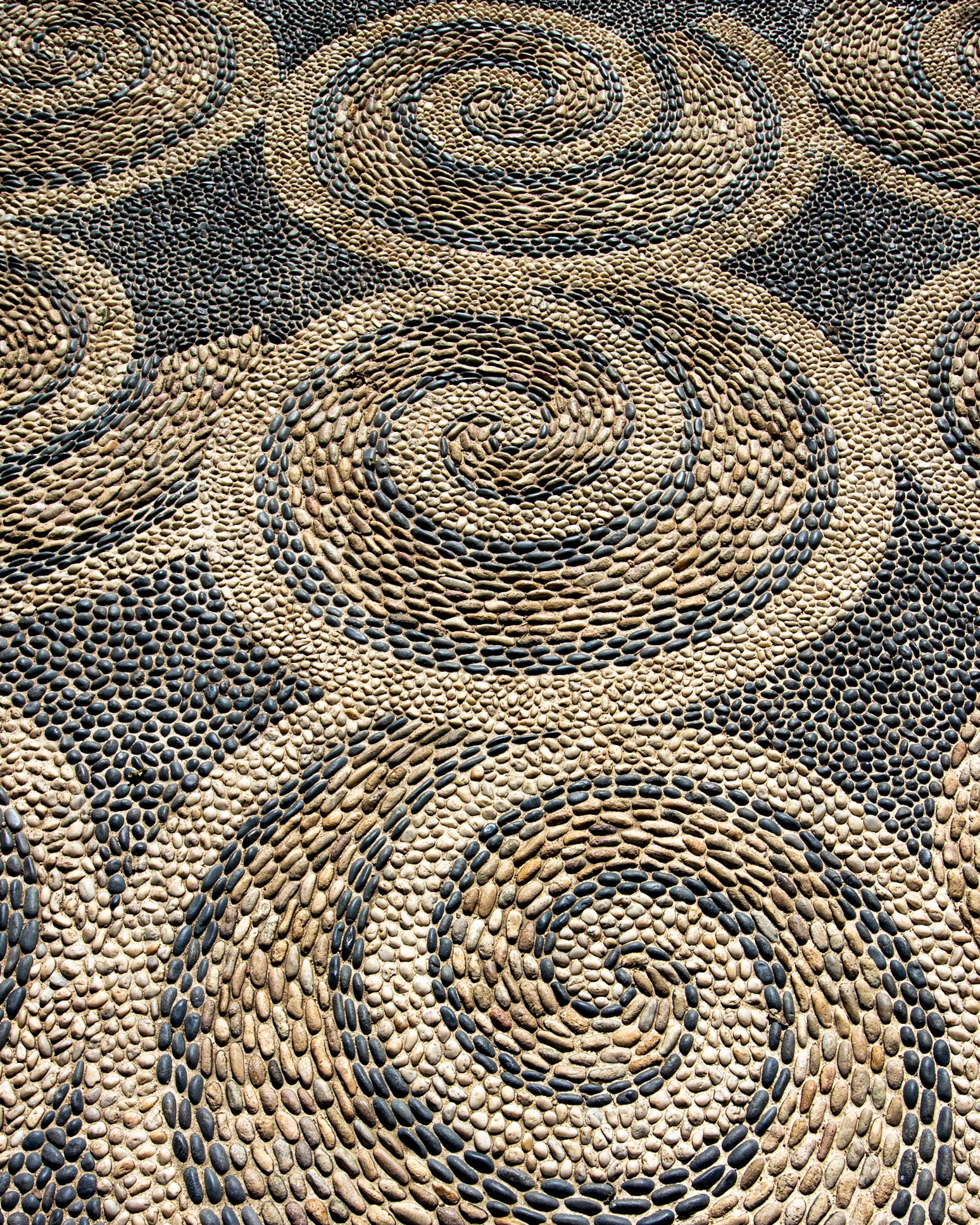 Vallata Botanical Garden, Jalisca Mexico