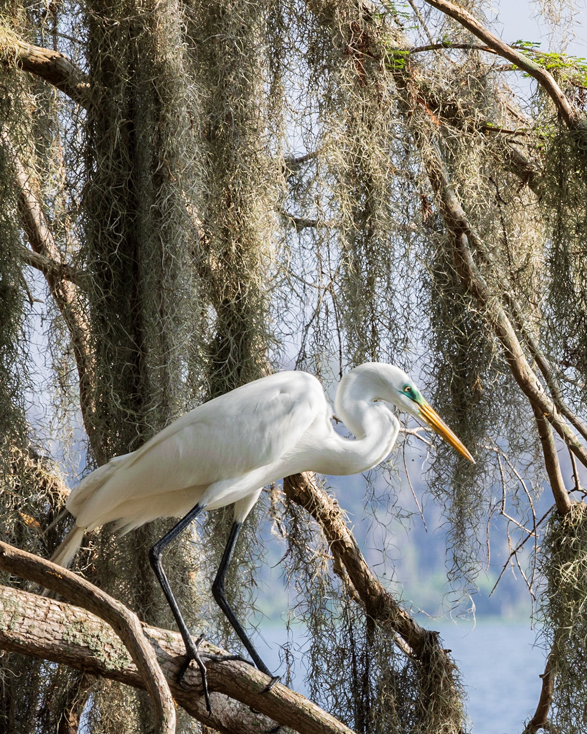 Circle B Bar Reserve FL