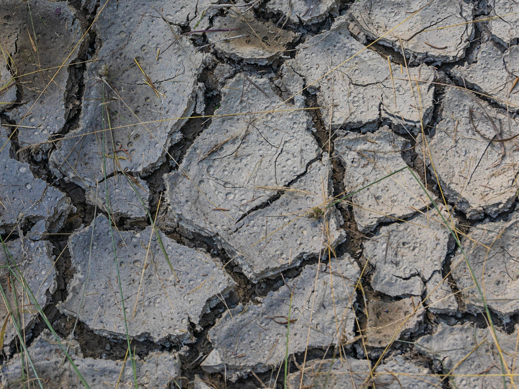 Theodore Roosevelt NP, Elkhorn Ranch, ND