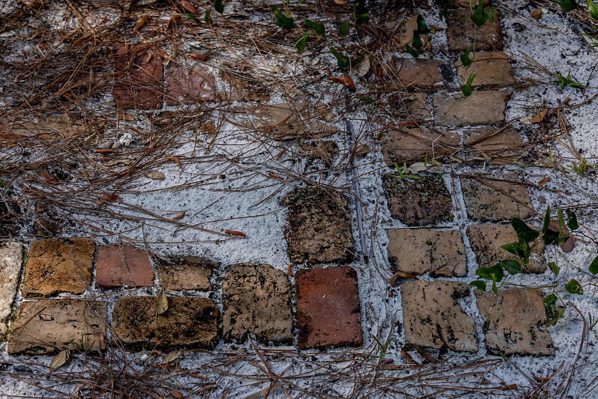 Marshall House, Cape St George, FL