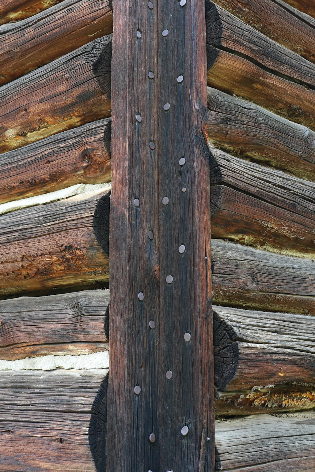 Mill Creek, Tobbacco Root Mts  MT