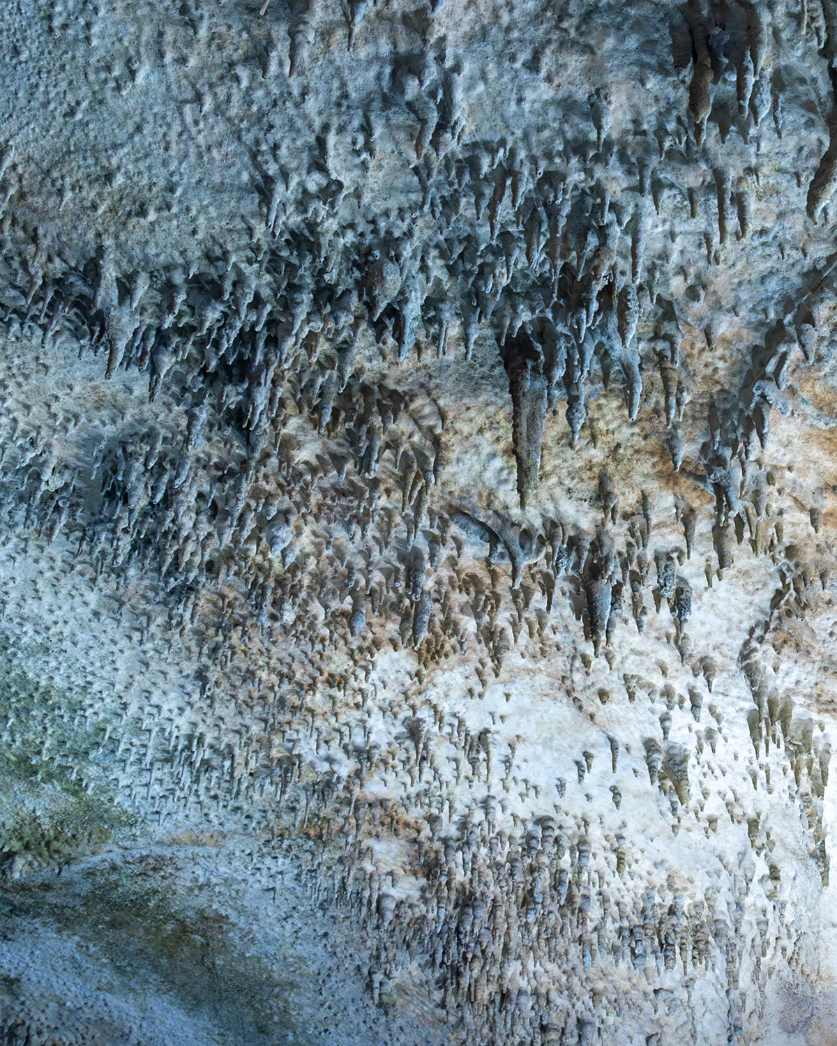 Rickwood Caverns, Warrior AL