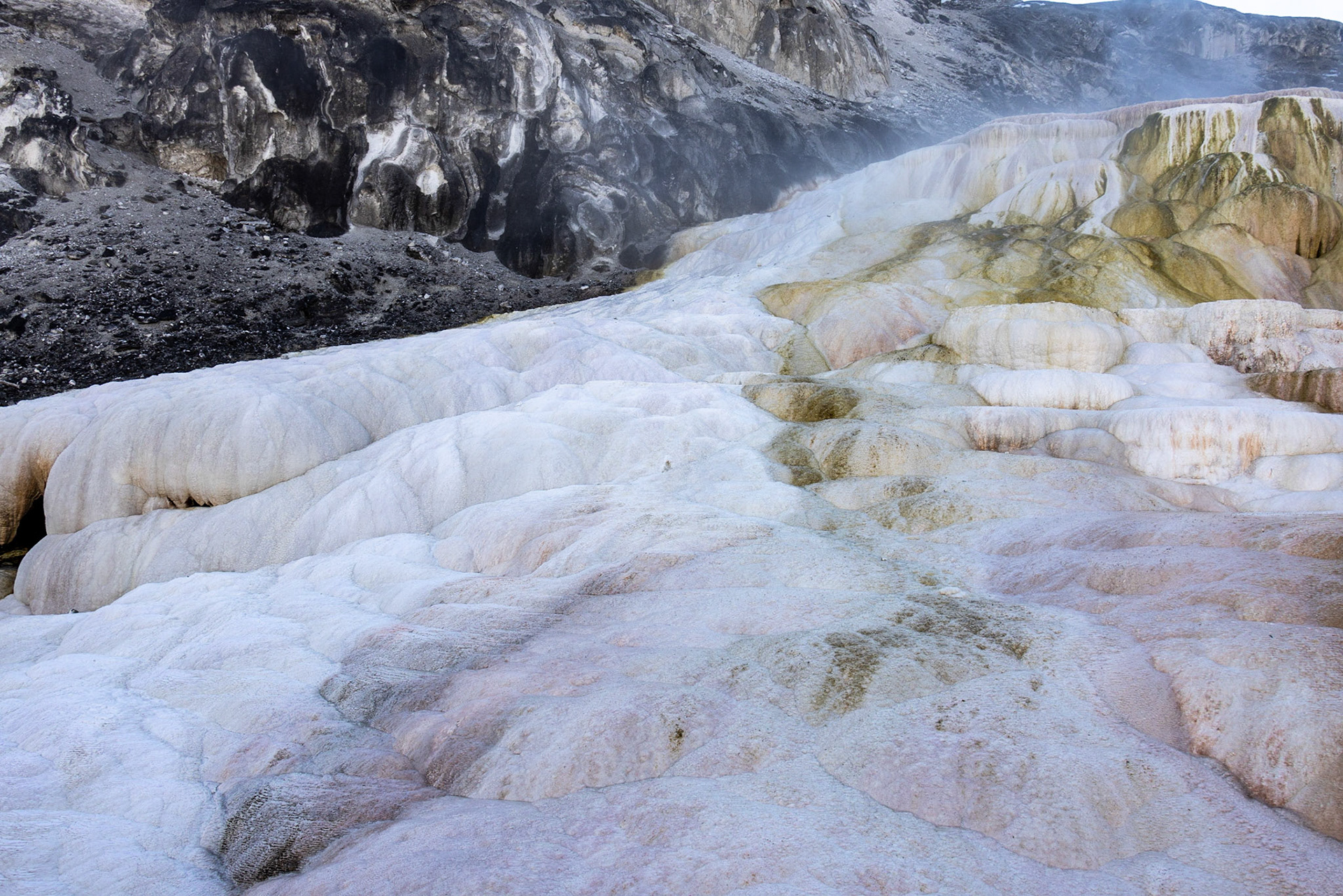 Mammoth Hot Springs, Yellowstone NP WY