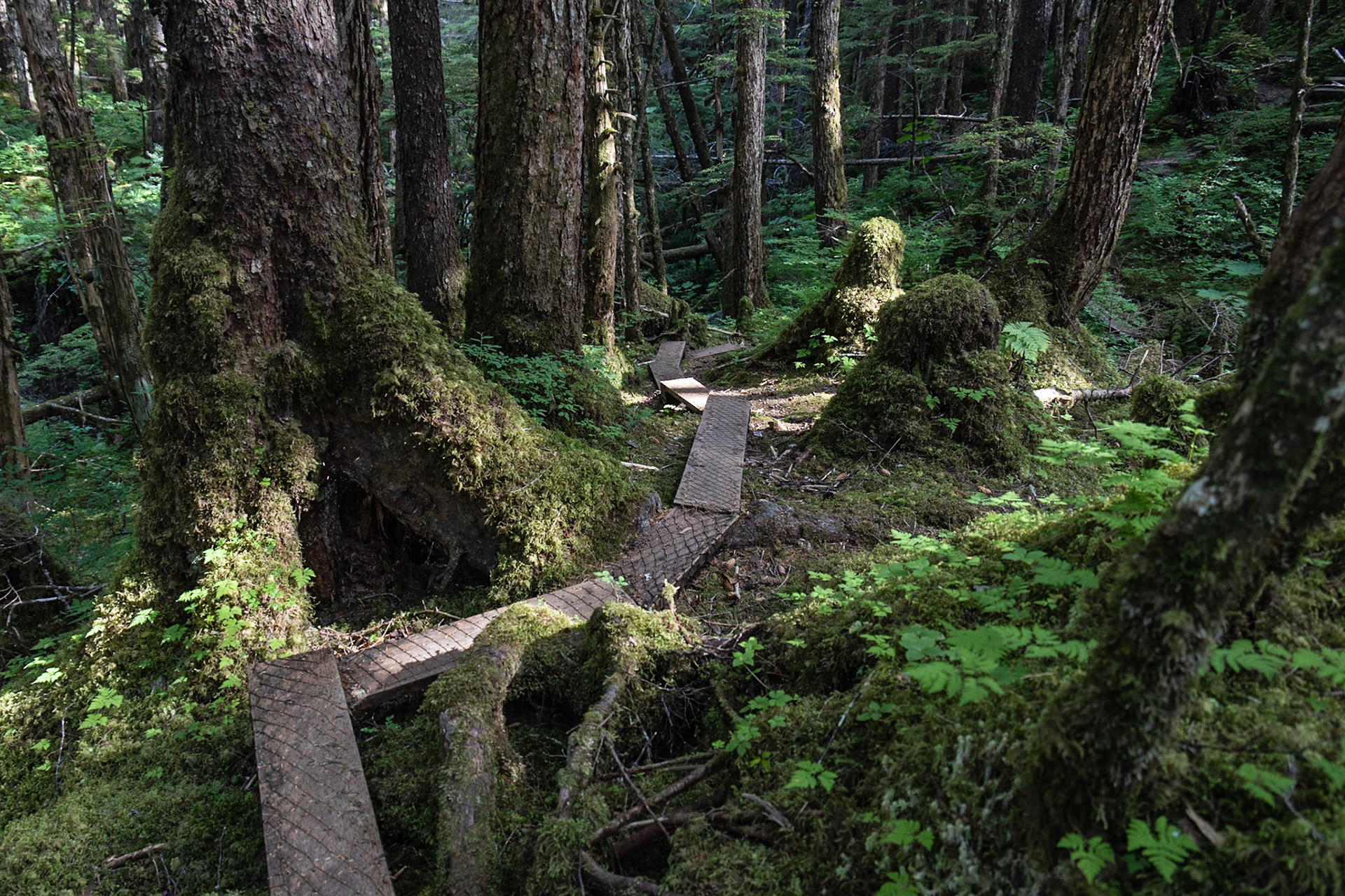 Pipeline Lakes Trail AK