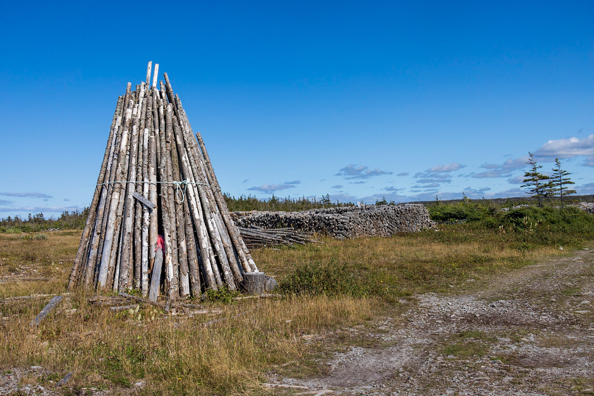 Winter firewood, Old Eddie's Cove Road, NL