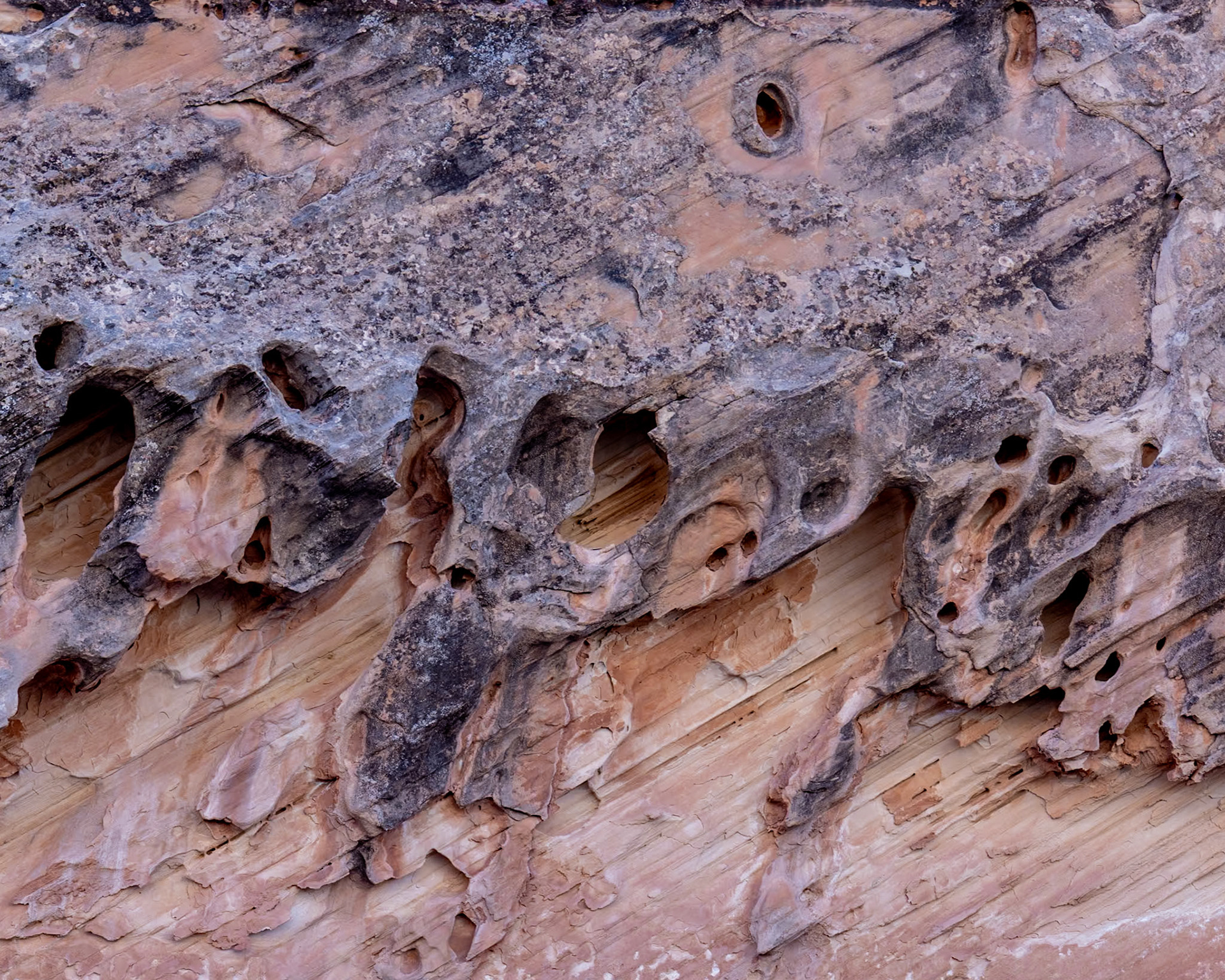 Capital Gorge Road, Fruita UT