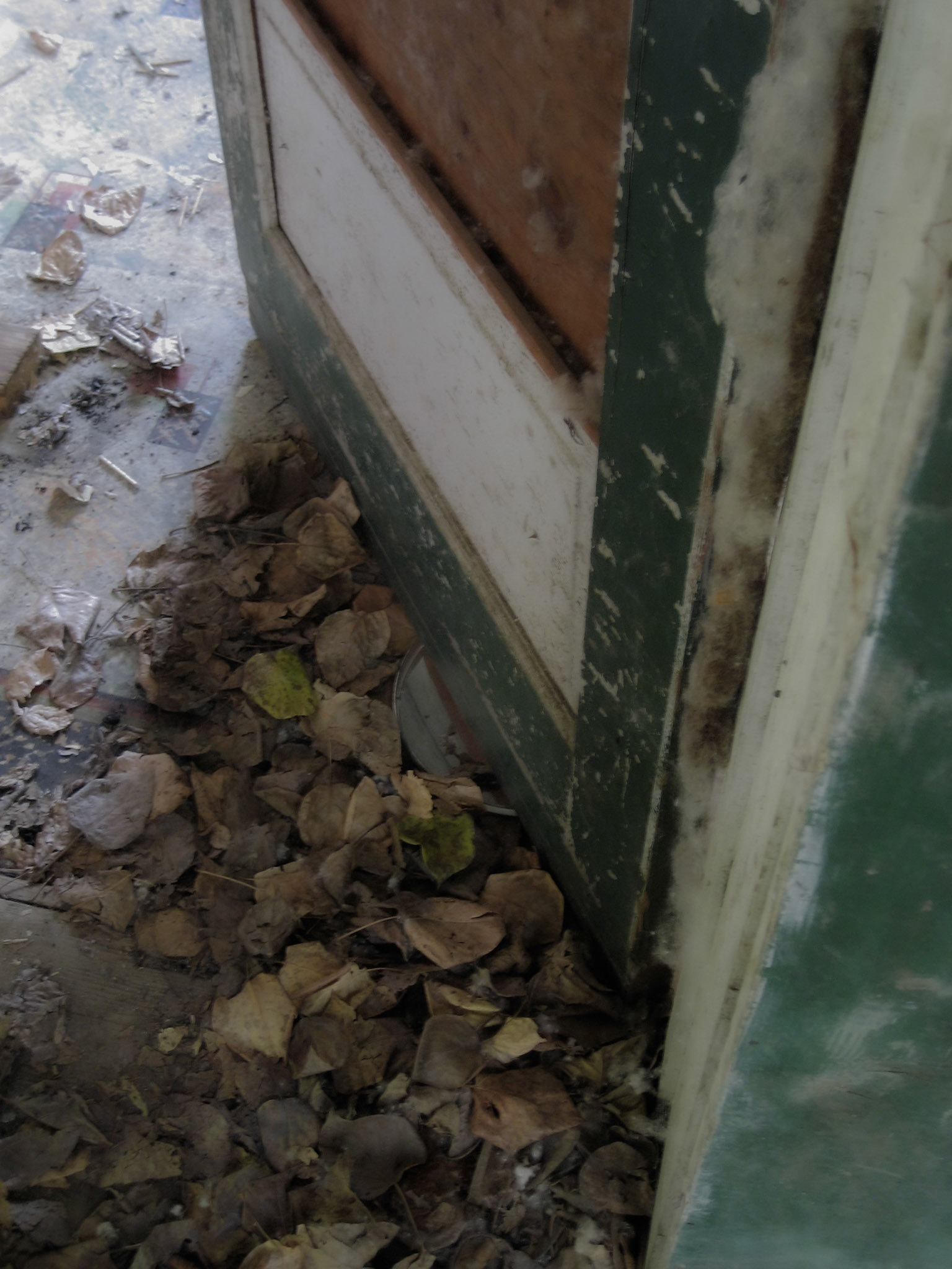 Telegraph Creek BC CA