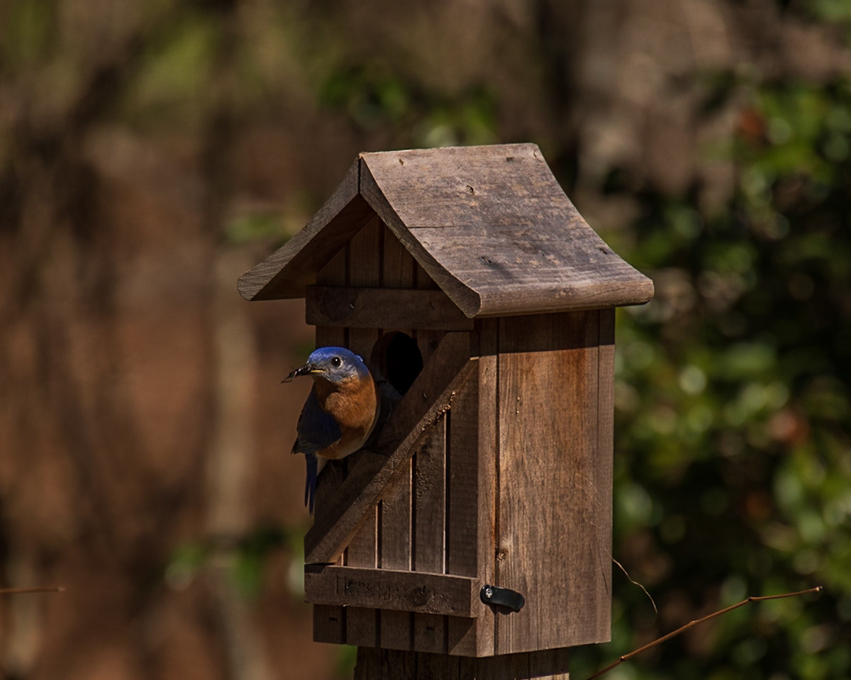 Marcias House, Tallahassee, FL