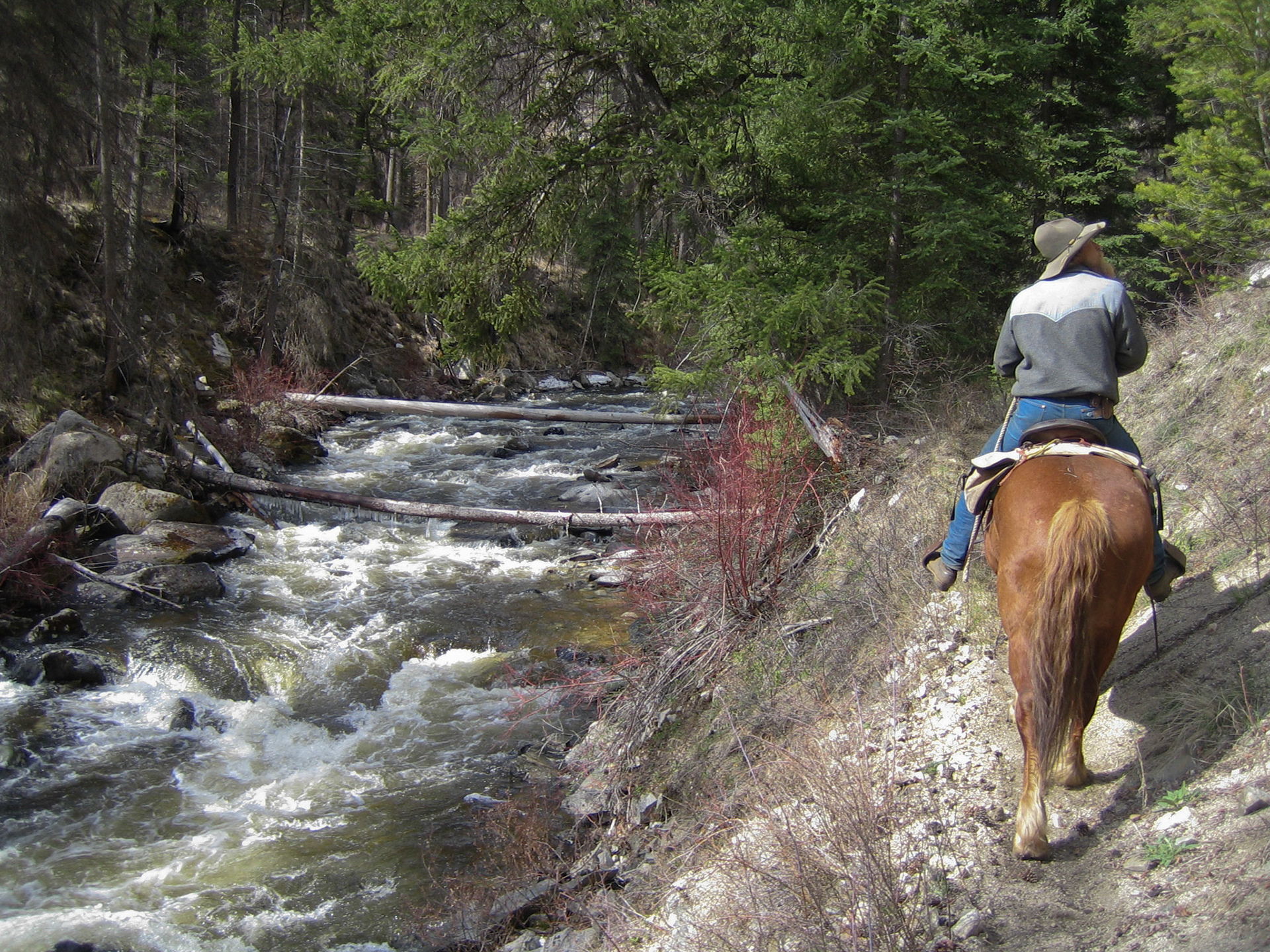 Chamberlain Basin ID