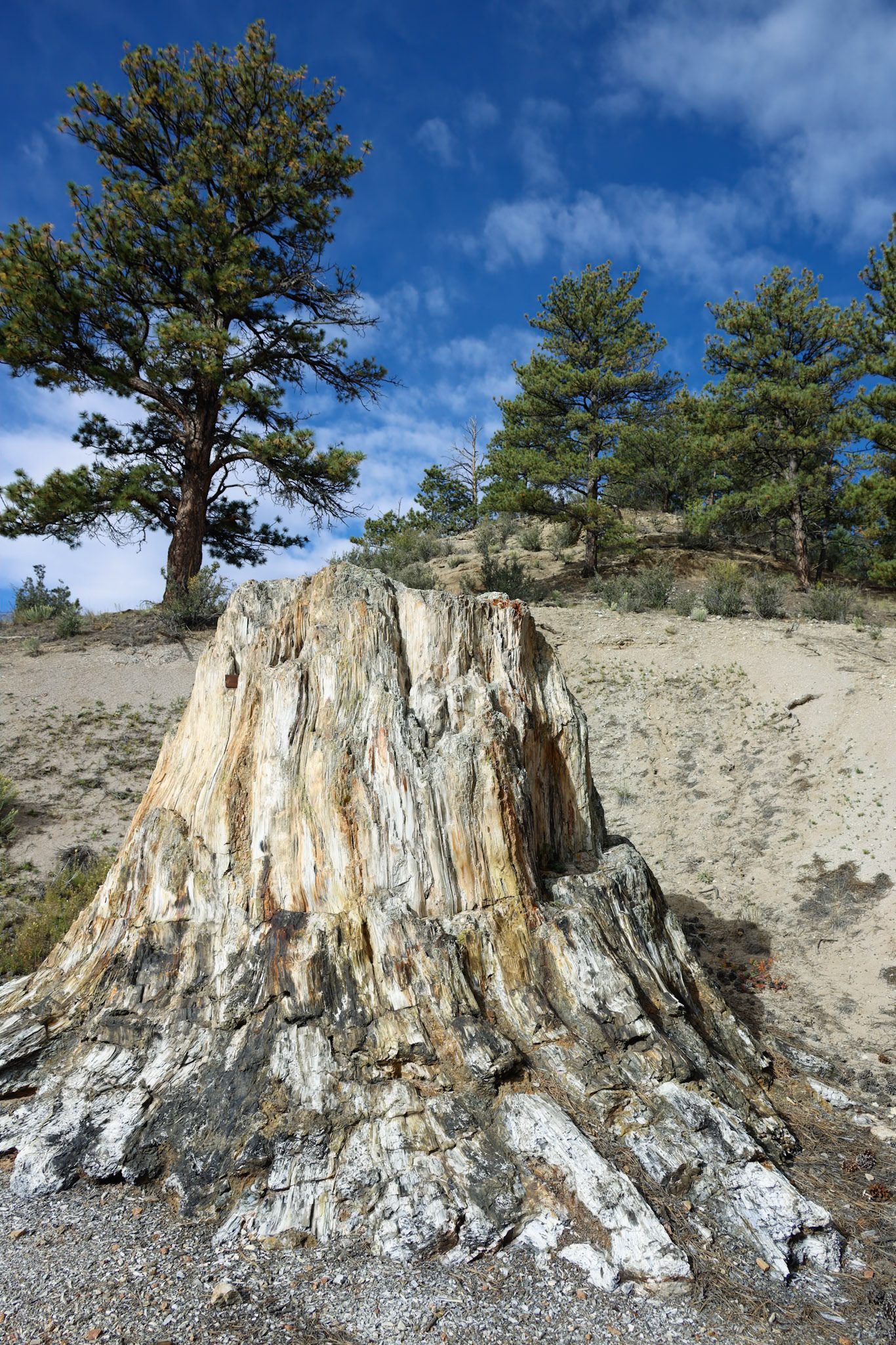 Florissant Fossil Beds NM, Florissant CO