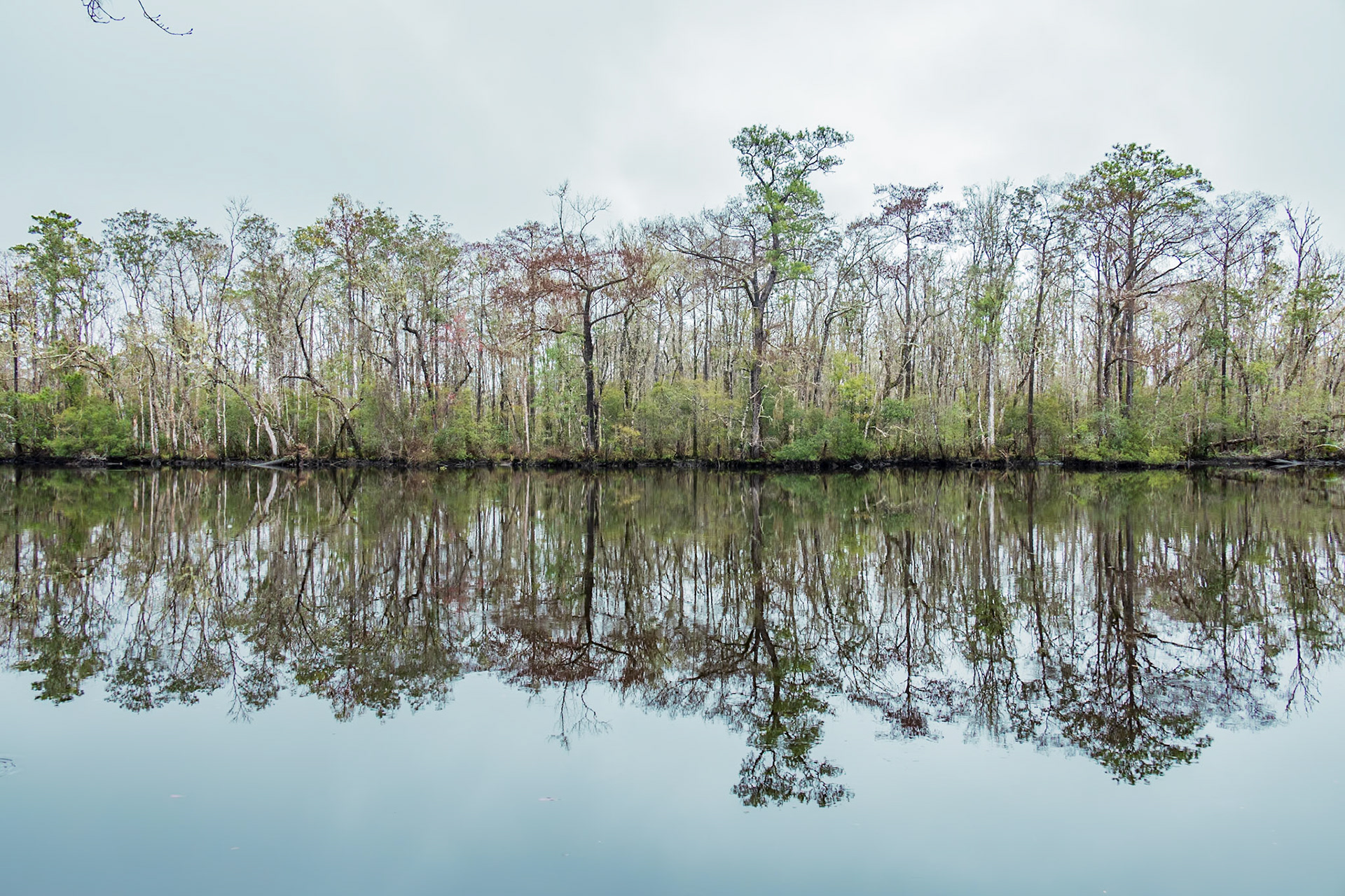 Crooked River, Tate's Hell, FL